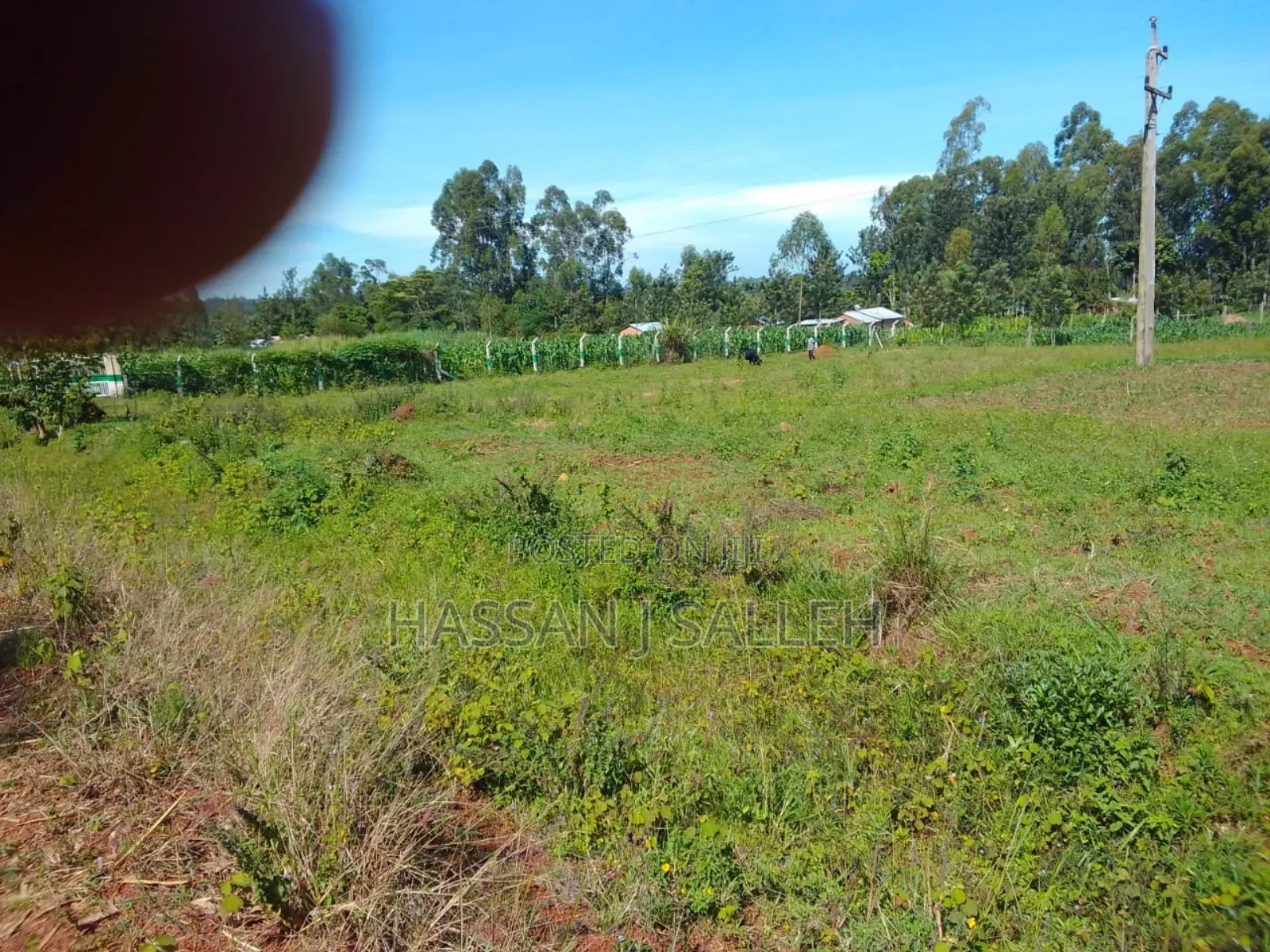 1/2acre Nyapora Mumias in Mumias Central
