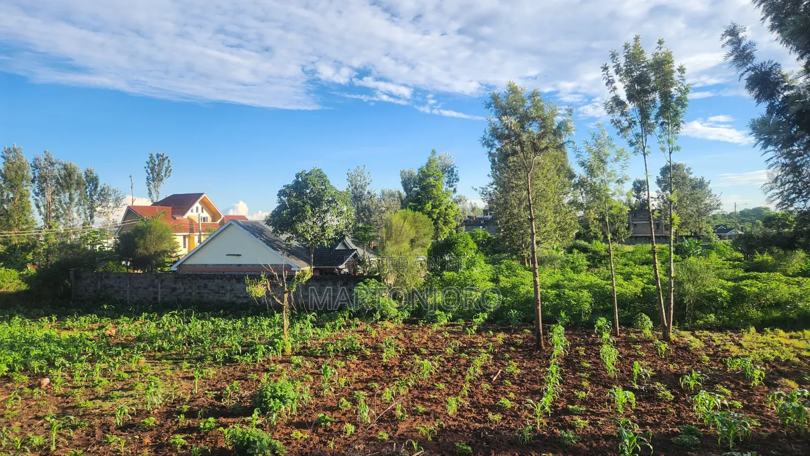 Mugutha Estate Damridge in Sunrise Estate