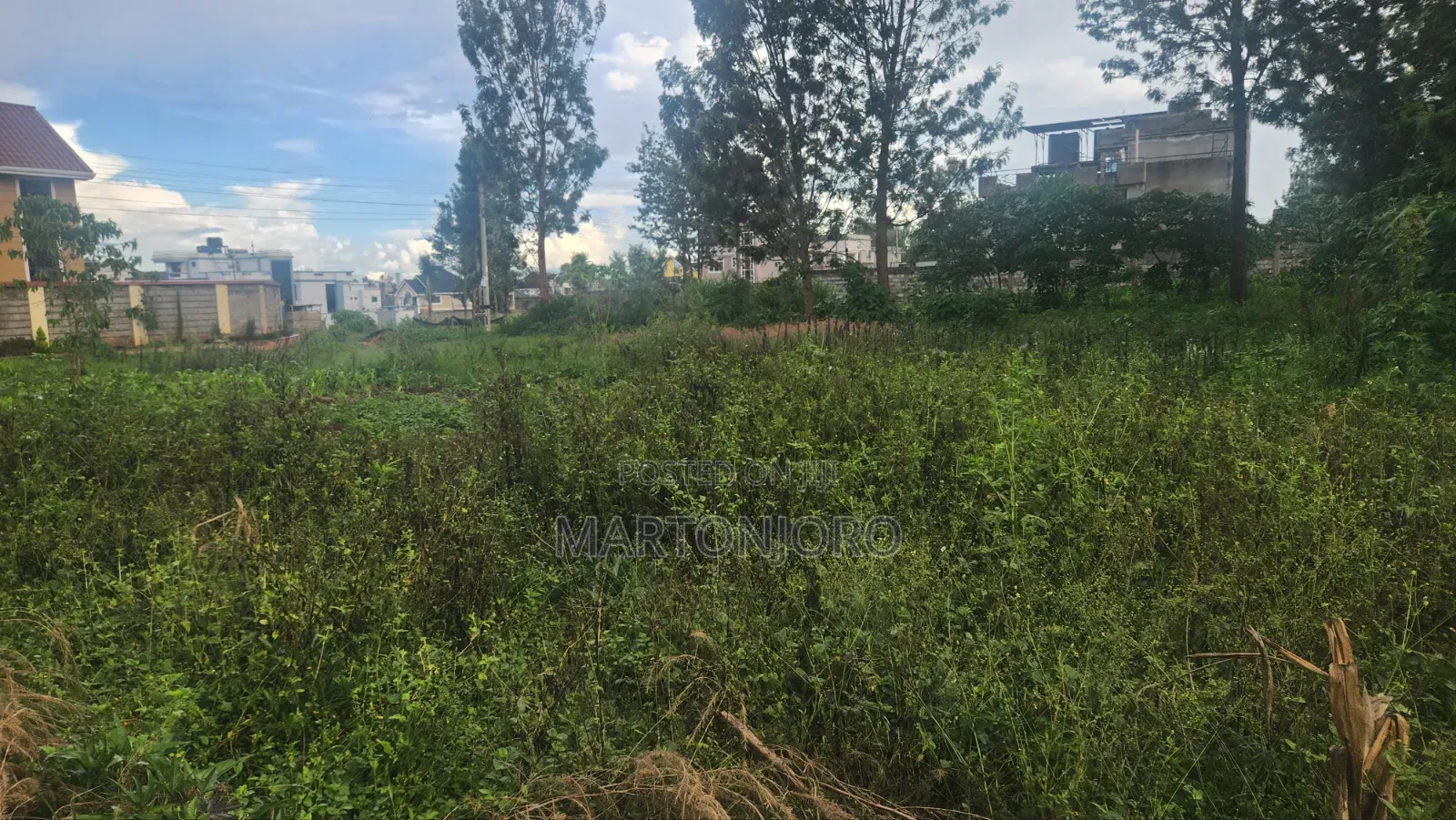 Mugutha Estate Damridge in Sunrise Estate