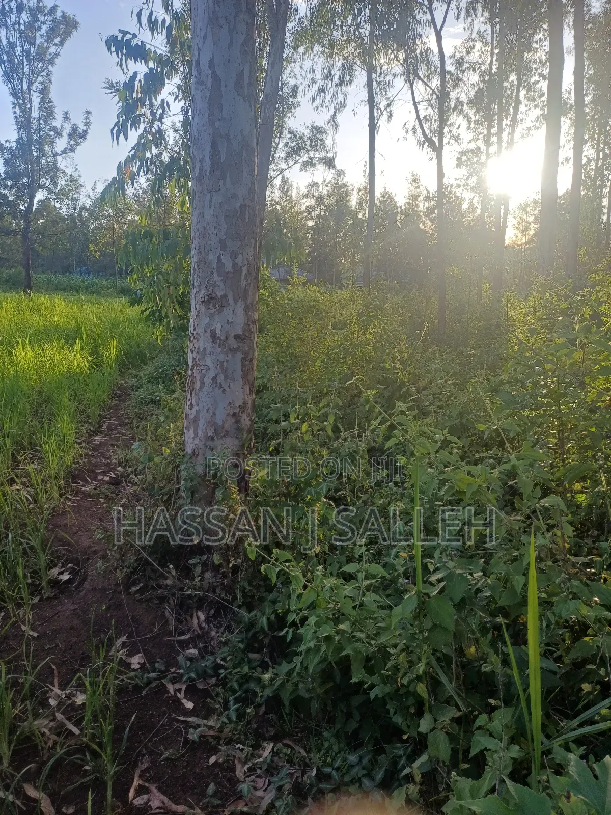 4plots on Sale Mumias in Mumias Central