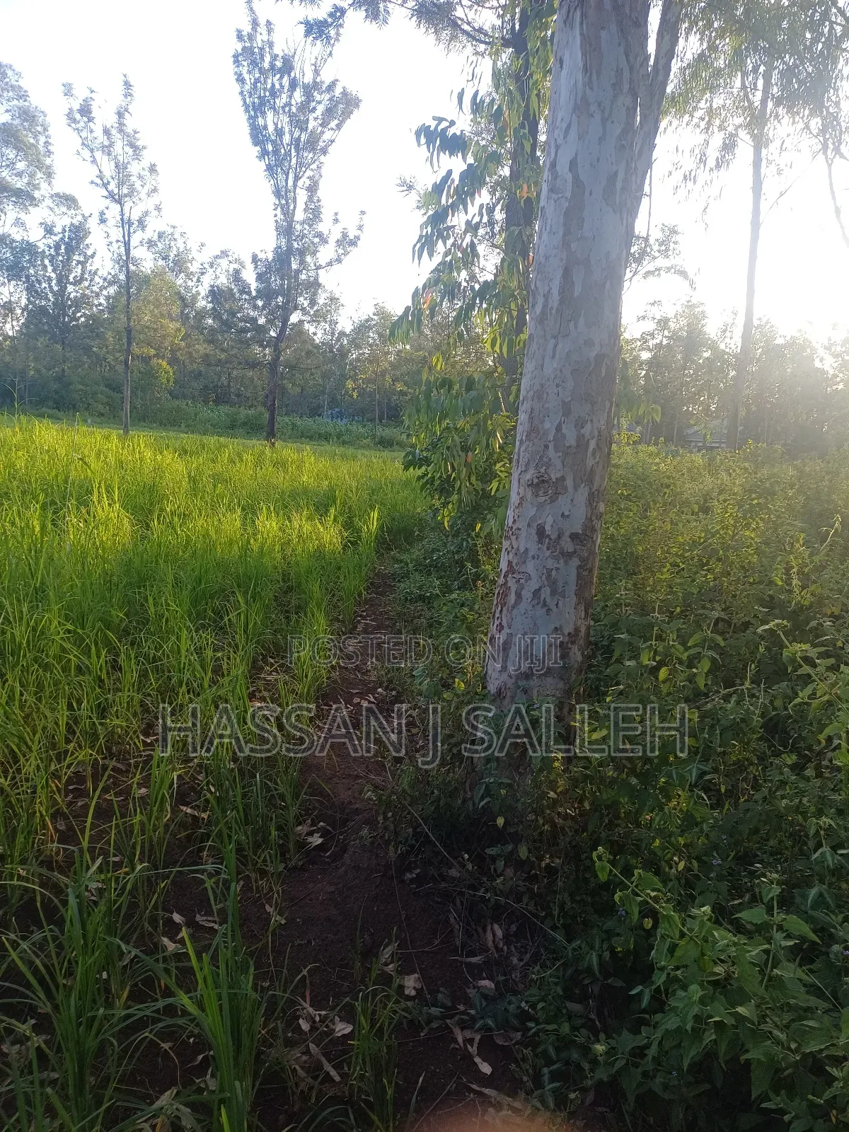 4plots on Sale Mumias in Mumias Central