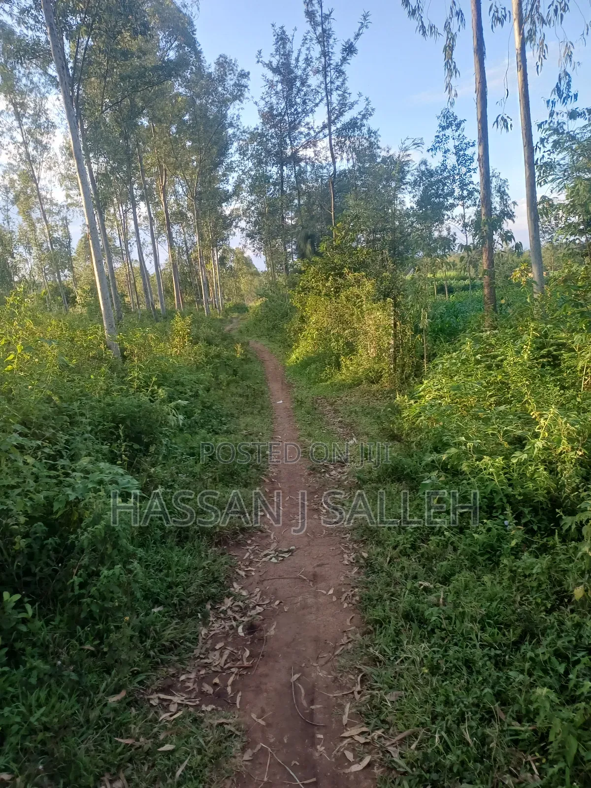 4plots on Sale Mumias in Mumias Central
