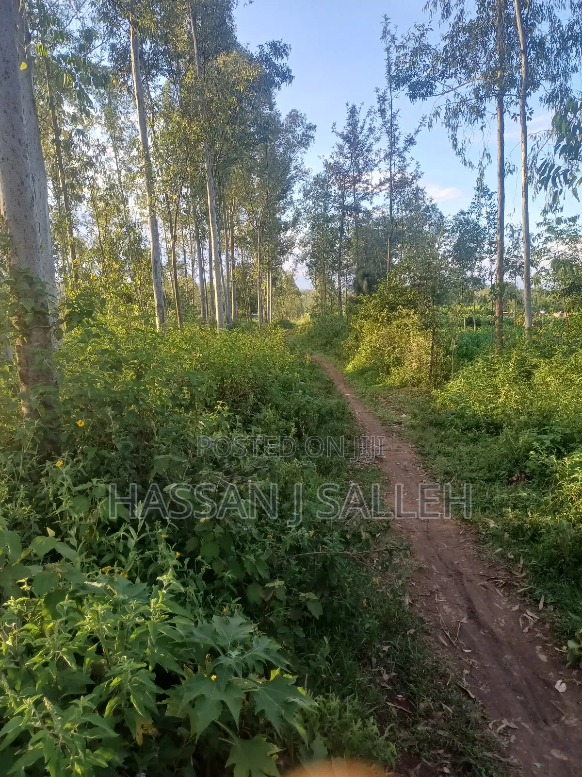 4plots on Sale Mumias in Mumias Central