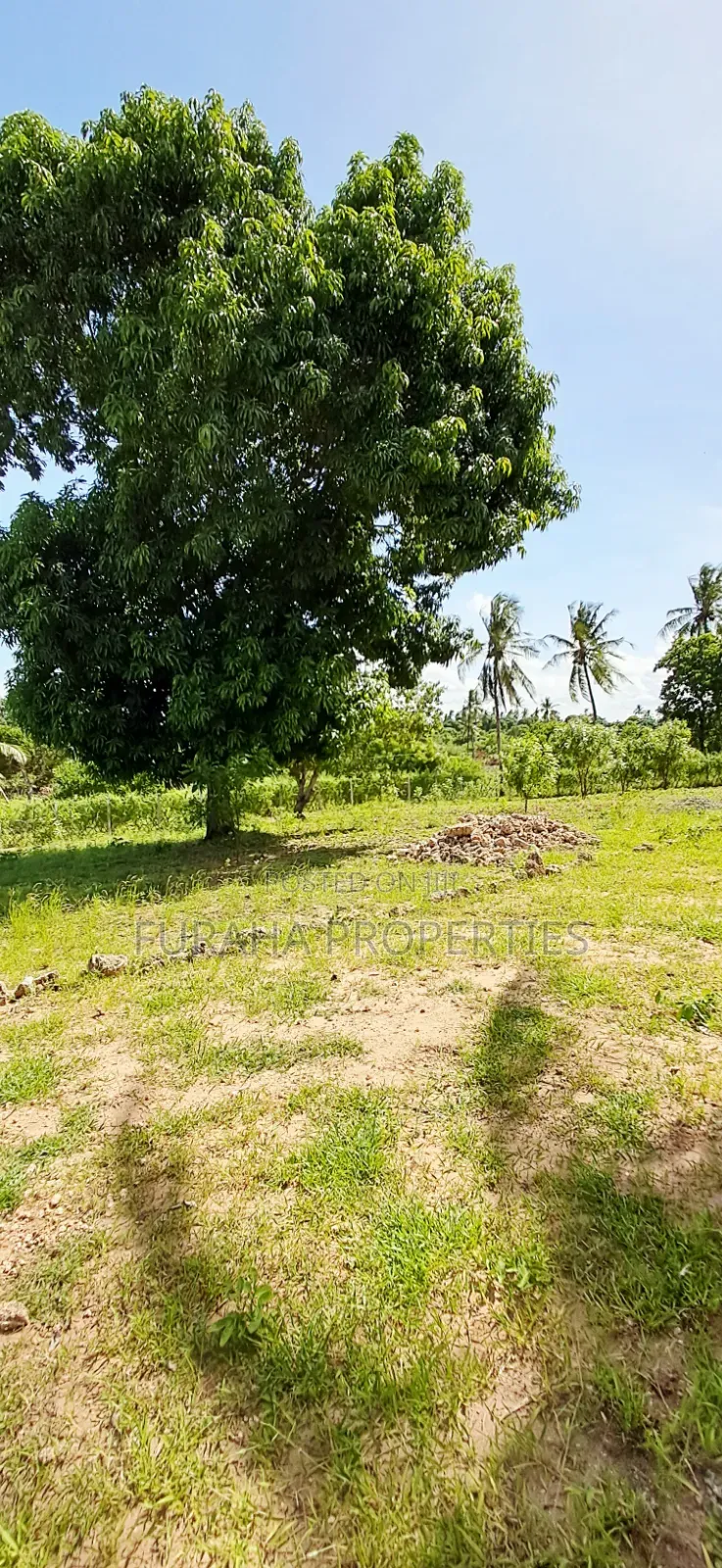 For Sale 2 Acres With Half Built House Tezo in Tezo