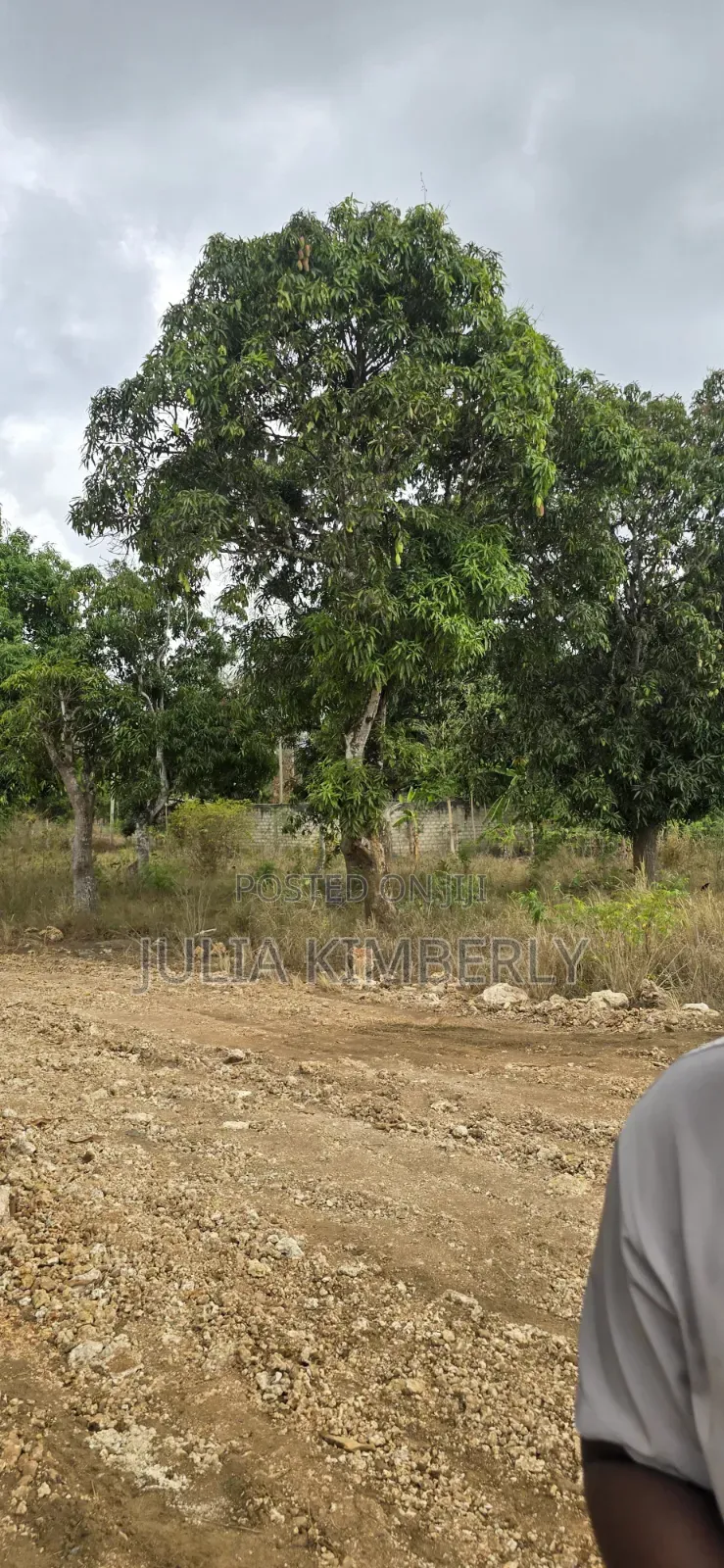 Mtwapa 50 by 100 Next to Govt Affordable Housing in Mtwapa
