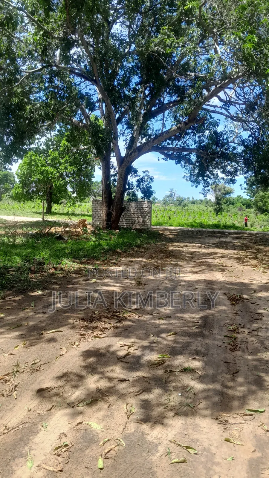 Msabaha/Gede. 10%Discounted 50 by 100s Malindi/Gede With Title in Gede