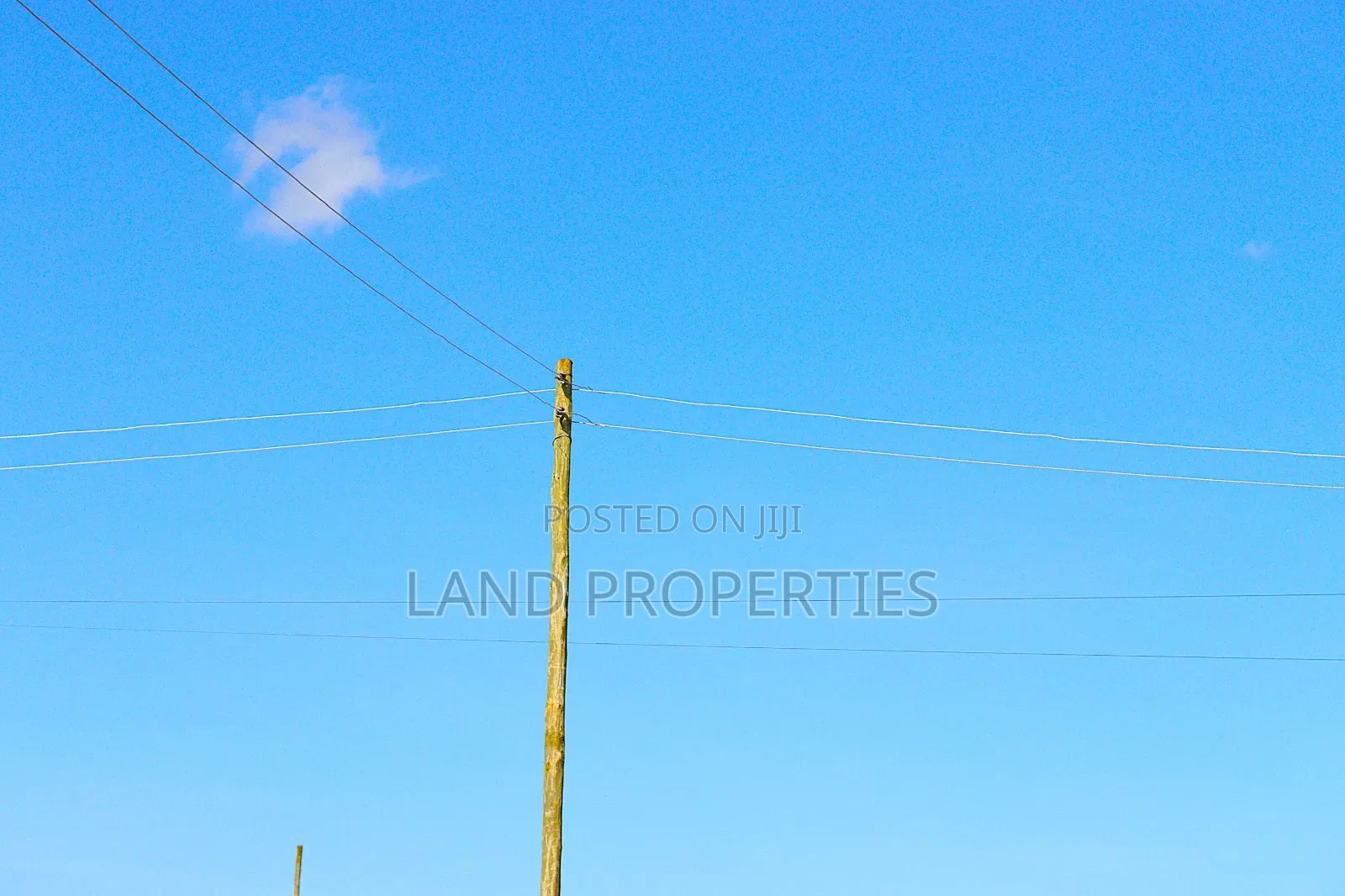 Urgent Sale on Land in Kalimoni