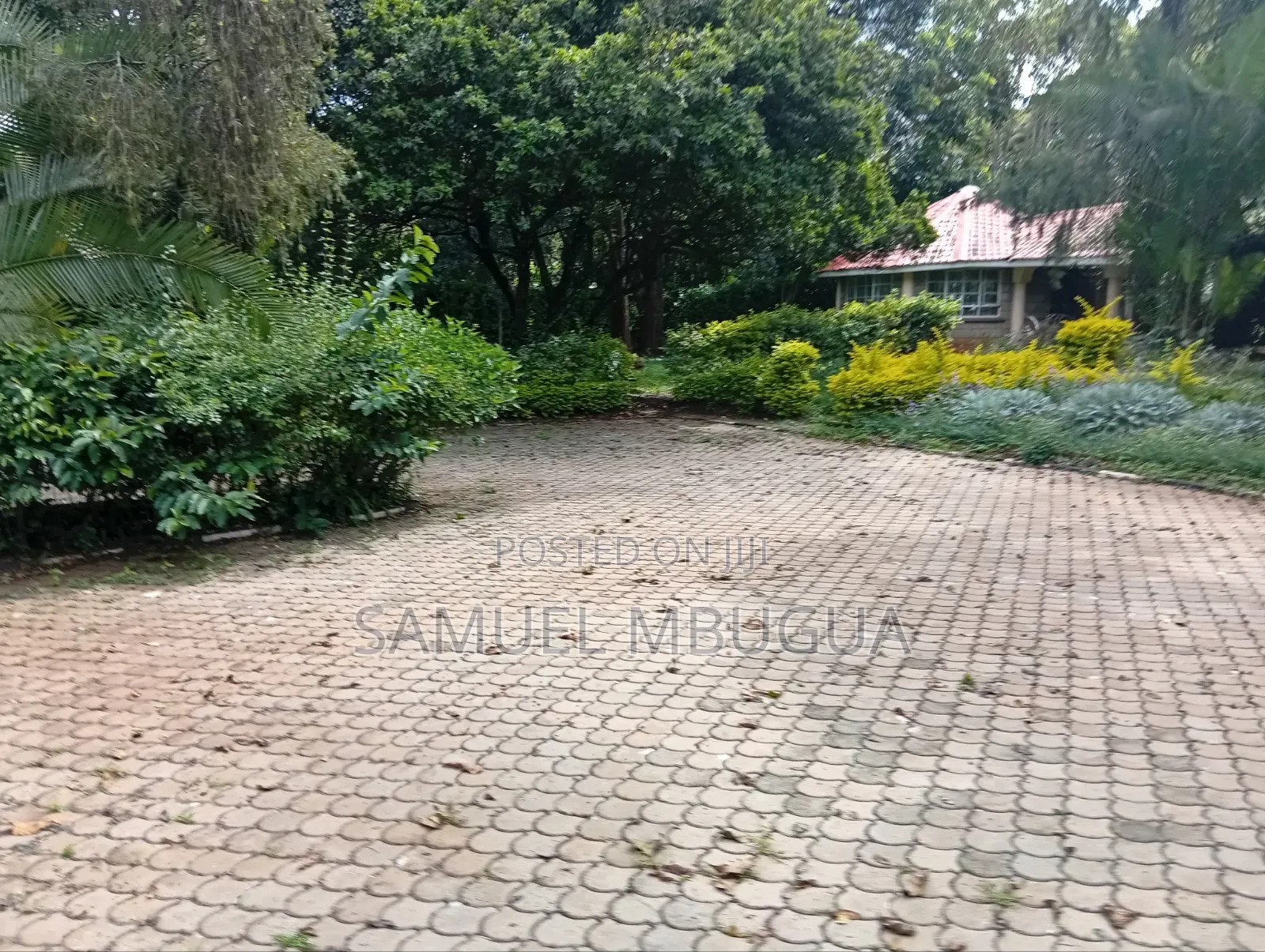 8bdrm Farm House in Karen for rent in Karen C