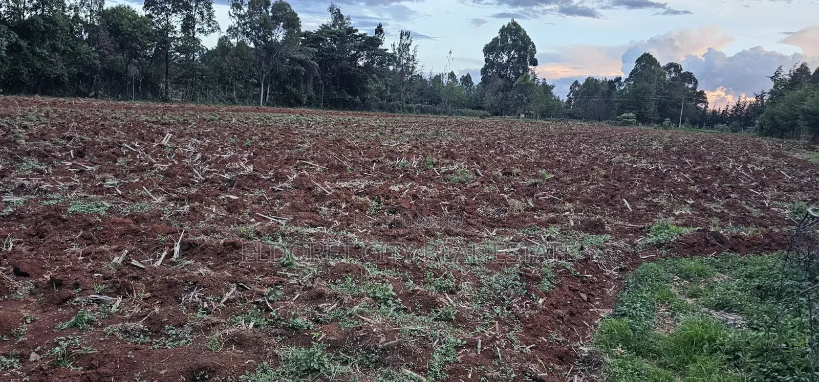 One Acre Simat Rivatex Road Near Fly Over. in Soy