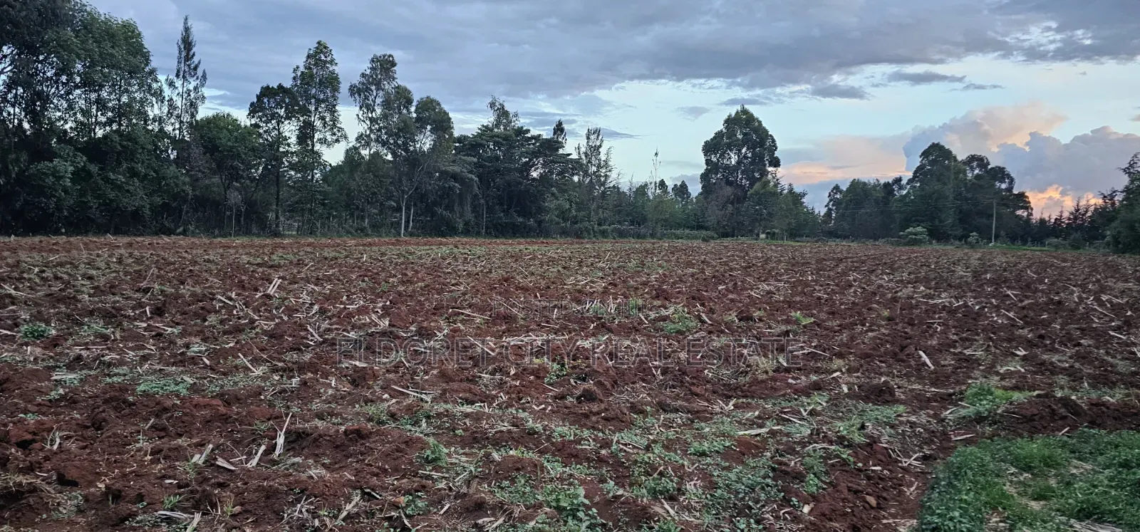 One Acre Simat Rivatex Road Near Fly Over. in Soy