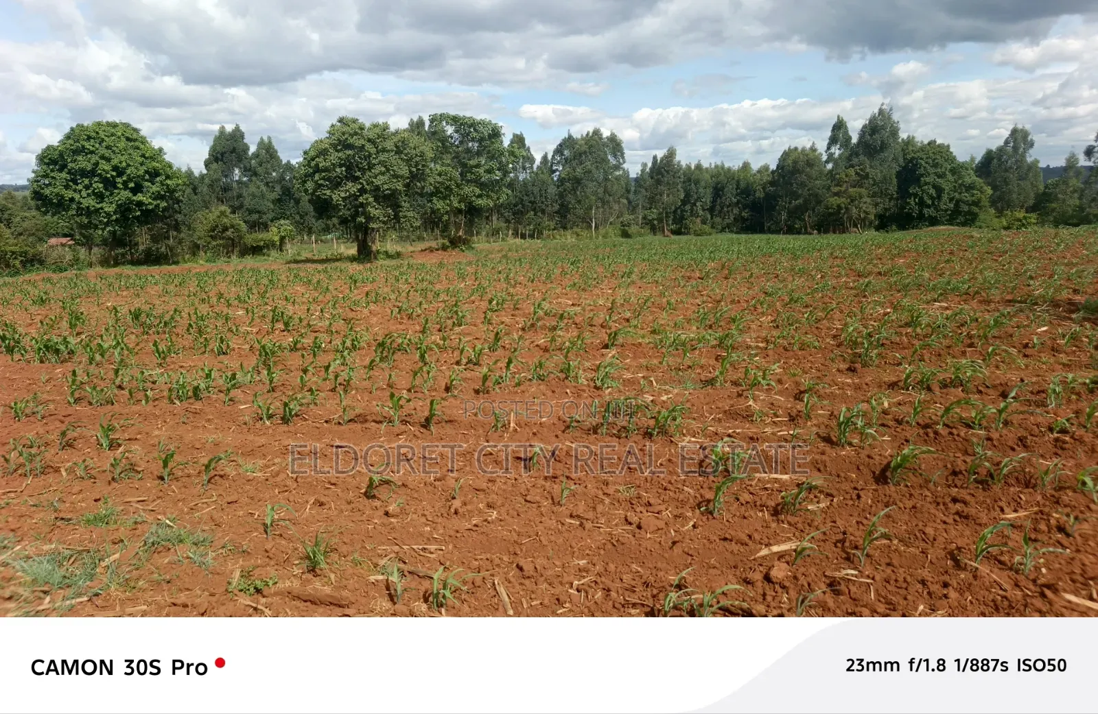 3 Acres Limo Farm Before Kapsoya. in Kapsuswa