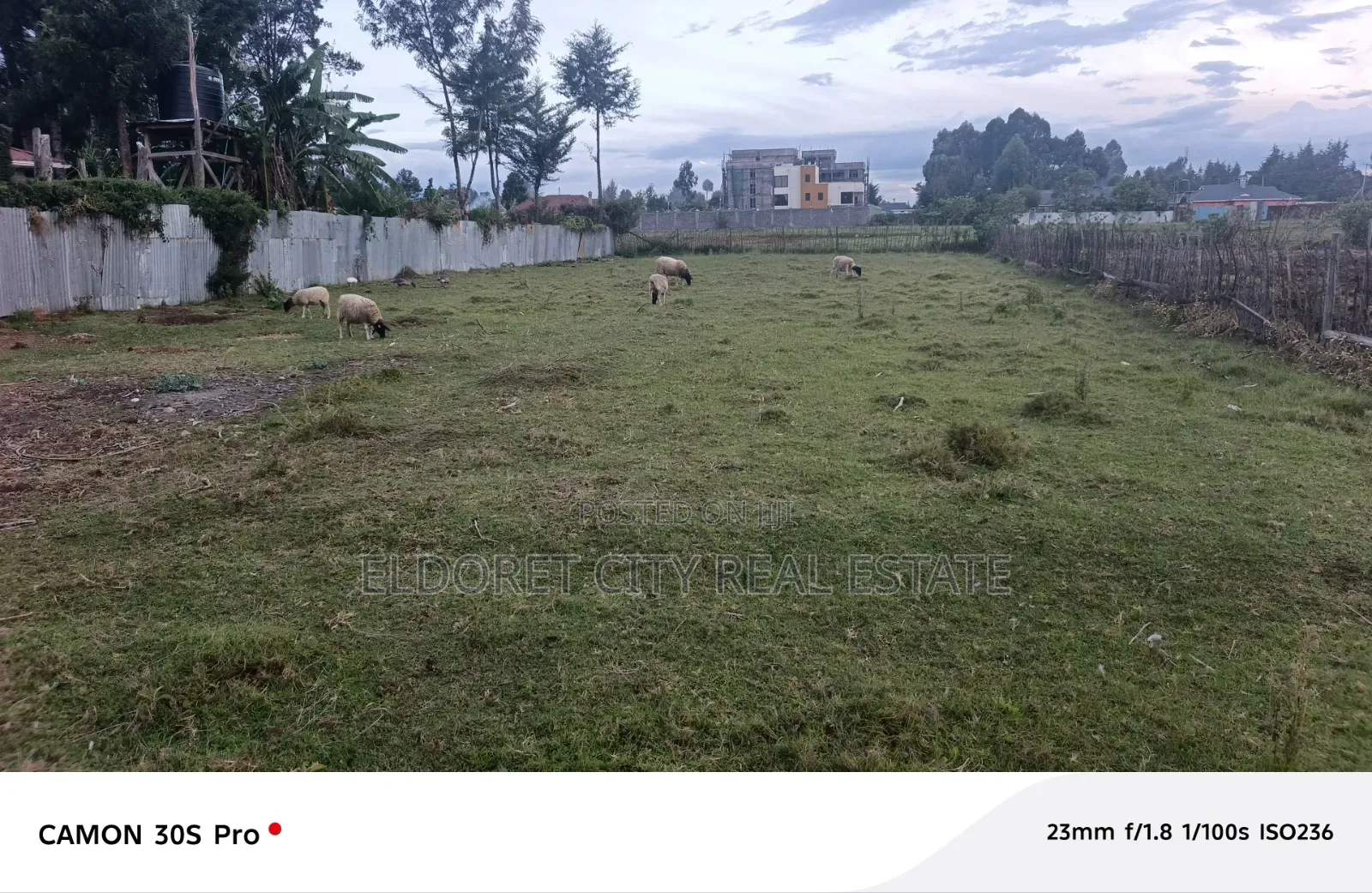 1/4 Plot Annex Pazuri With Title. in Kapsuswa
