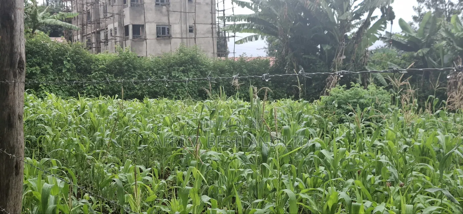Prime Commercial Investment Opportunity in Lower Kabete
