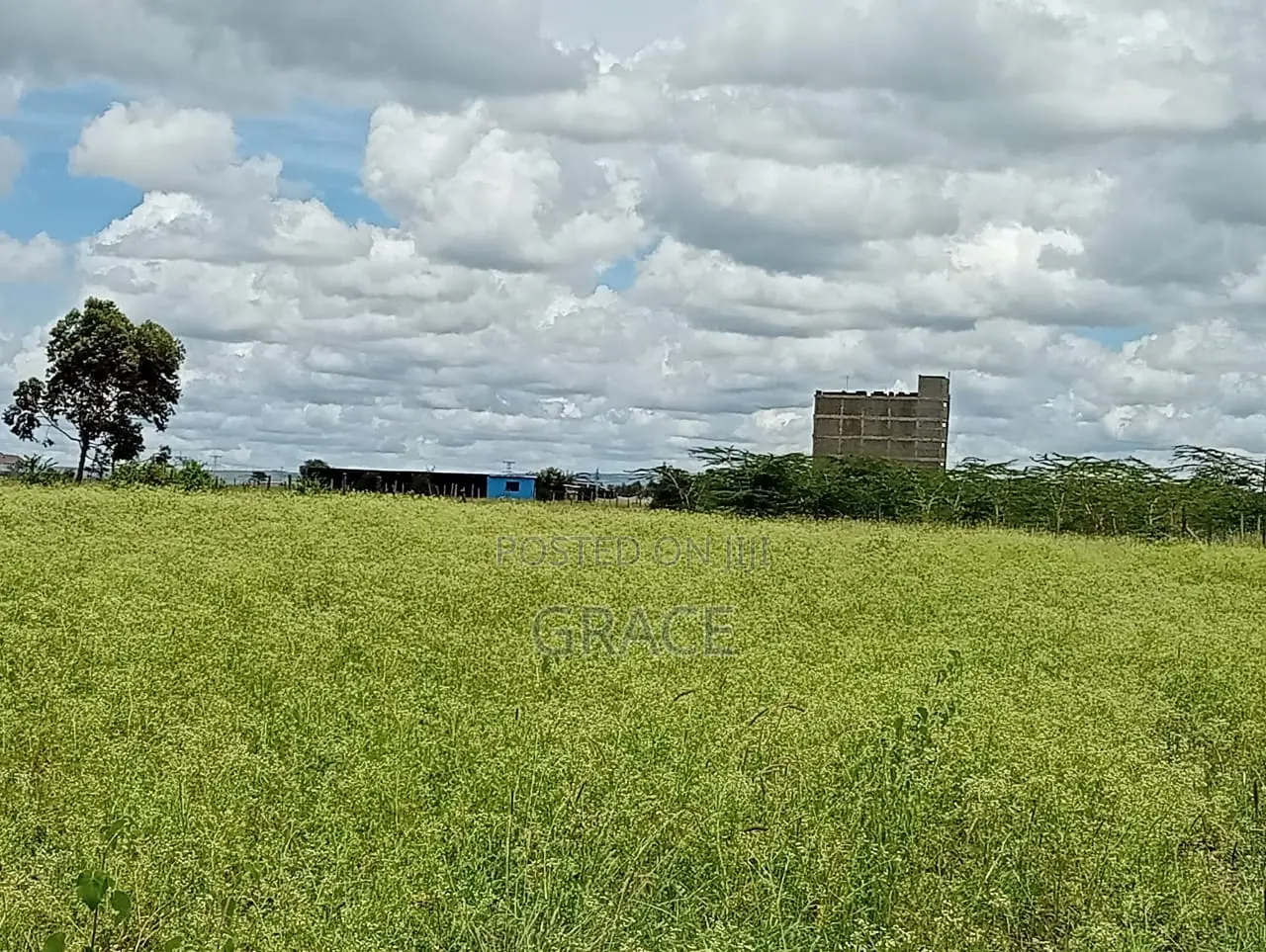 Prime 1/8 Acre Plots In Lenchani Gardens, Phase 9 in Kitengela
