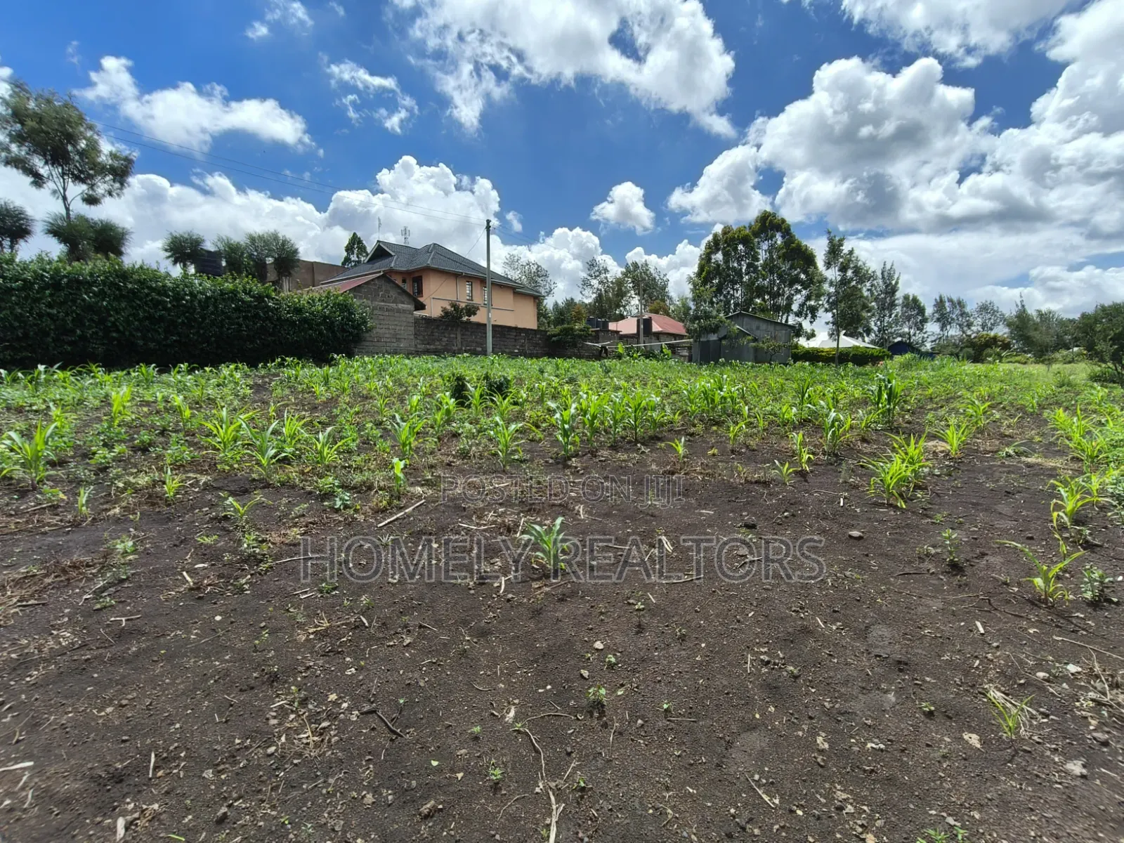 Residential Quarter Acre Corner Plot for Sale in Ngong, Olkeri in Ol Keri