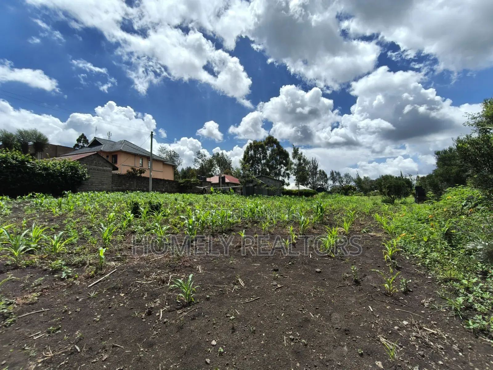 Residential Quarter Acre Corner Plot for Sale in Ngong, Olkeri in Ol Keri