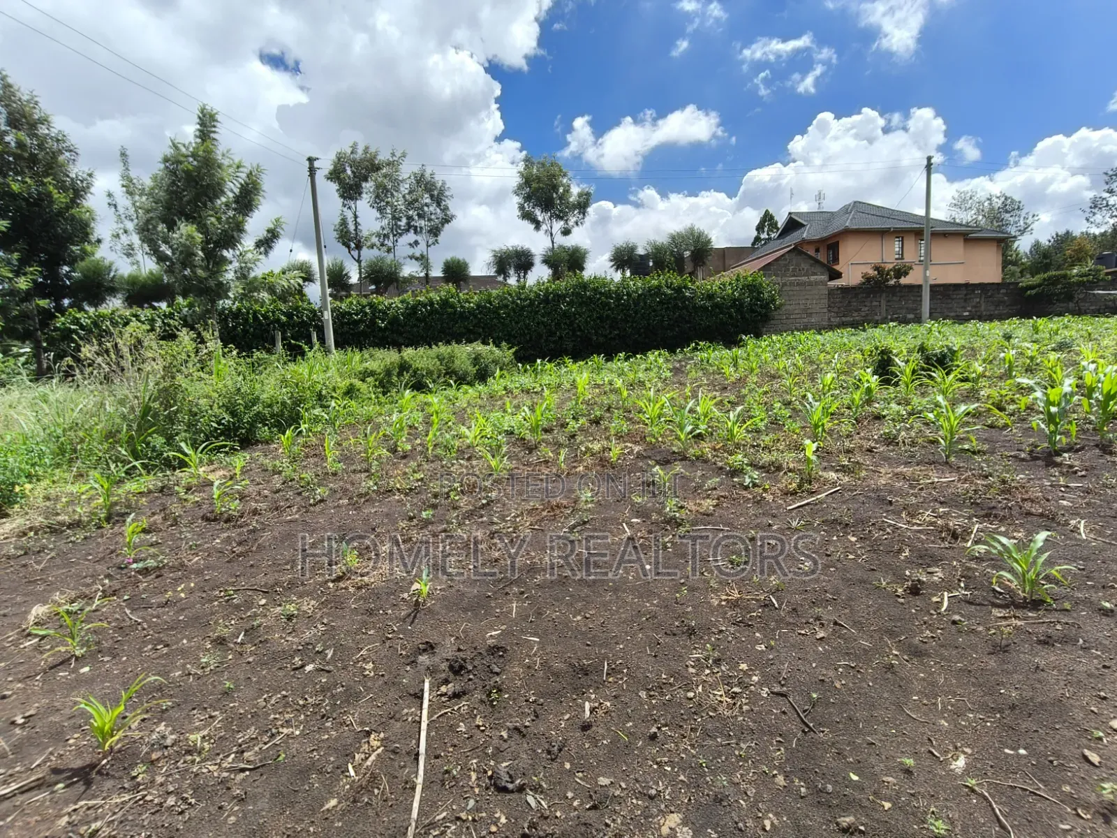 Residential Quarter Acre Corner Plot for Sale in Ngong, Olkeri in Ol Keri