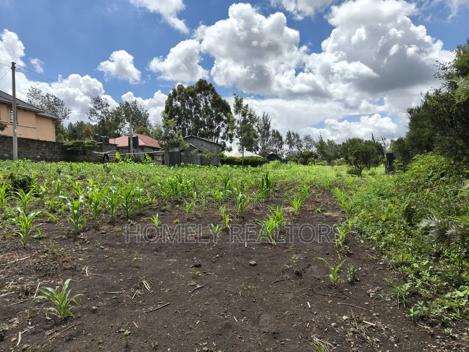 Residential Quarter Acre Corner Plot for Sale in Ngong, Olkeri in Ol Keri