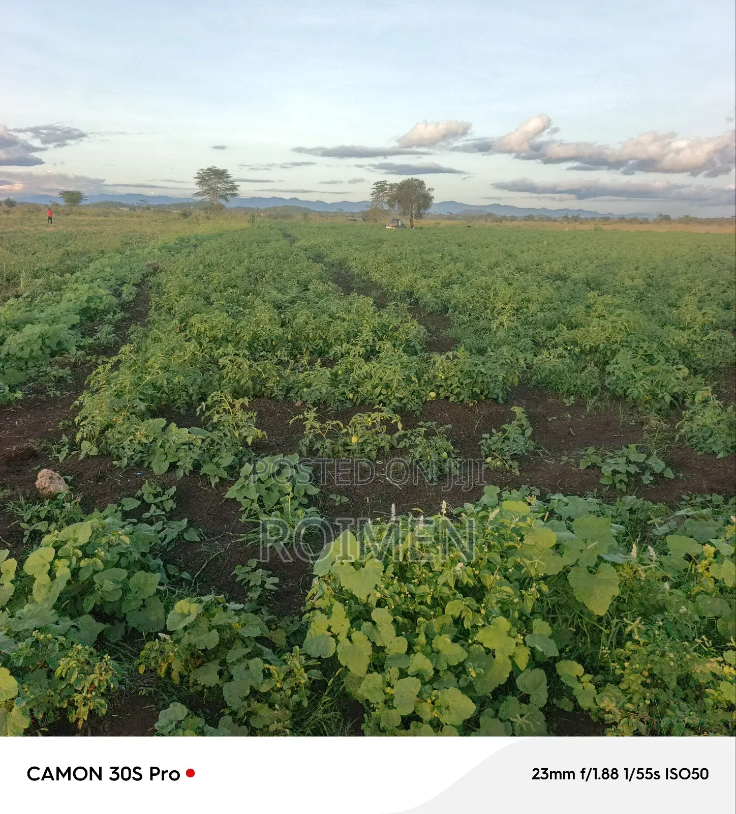 2 Acres Land for Sale in Mbirikani