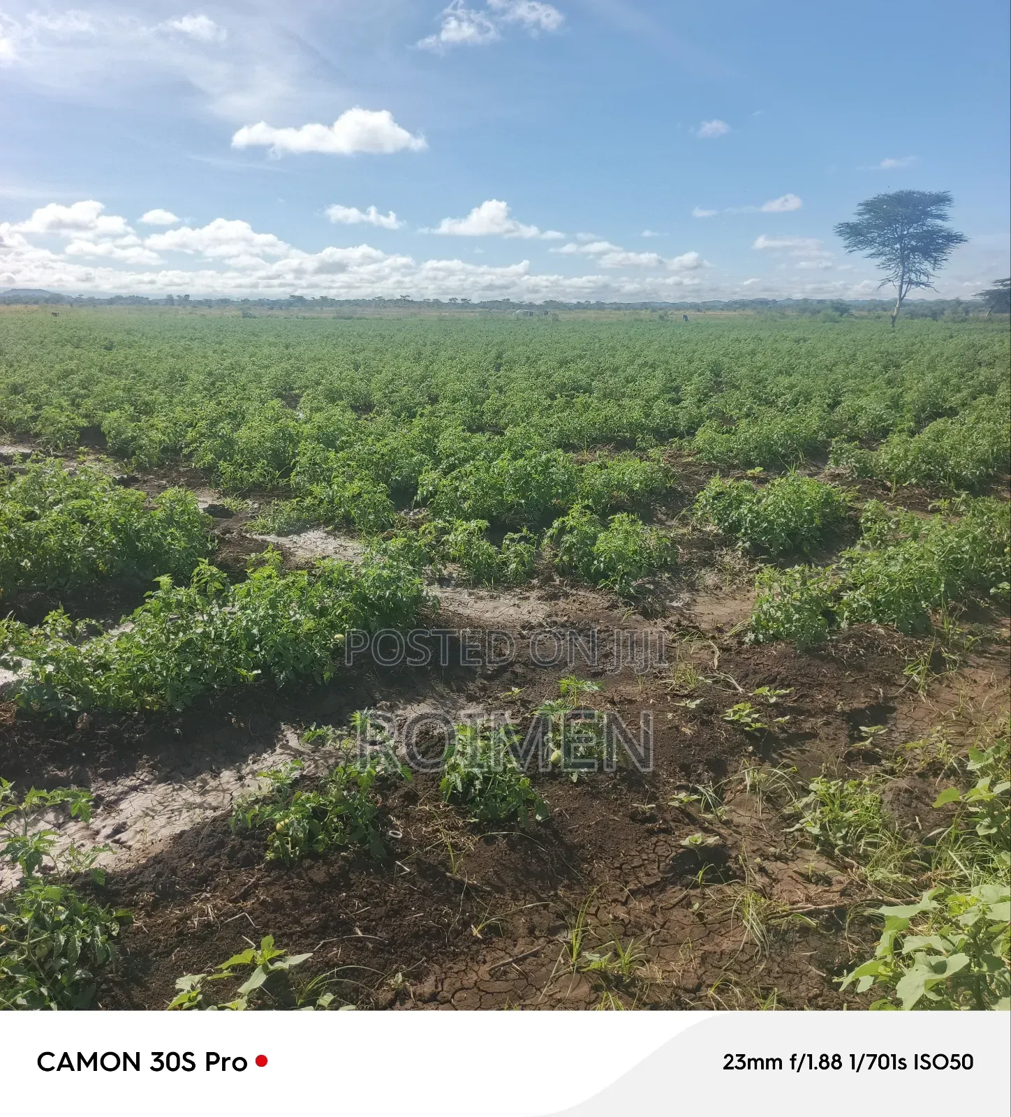2 Acres Land for Sale in Mbirikani