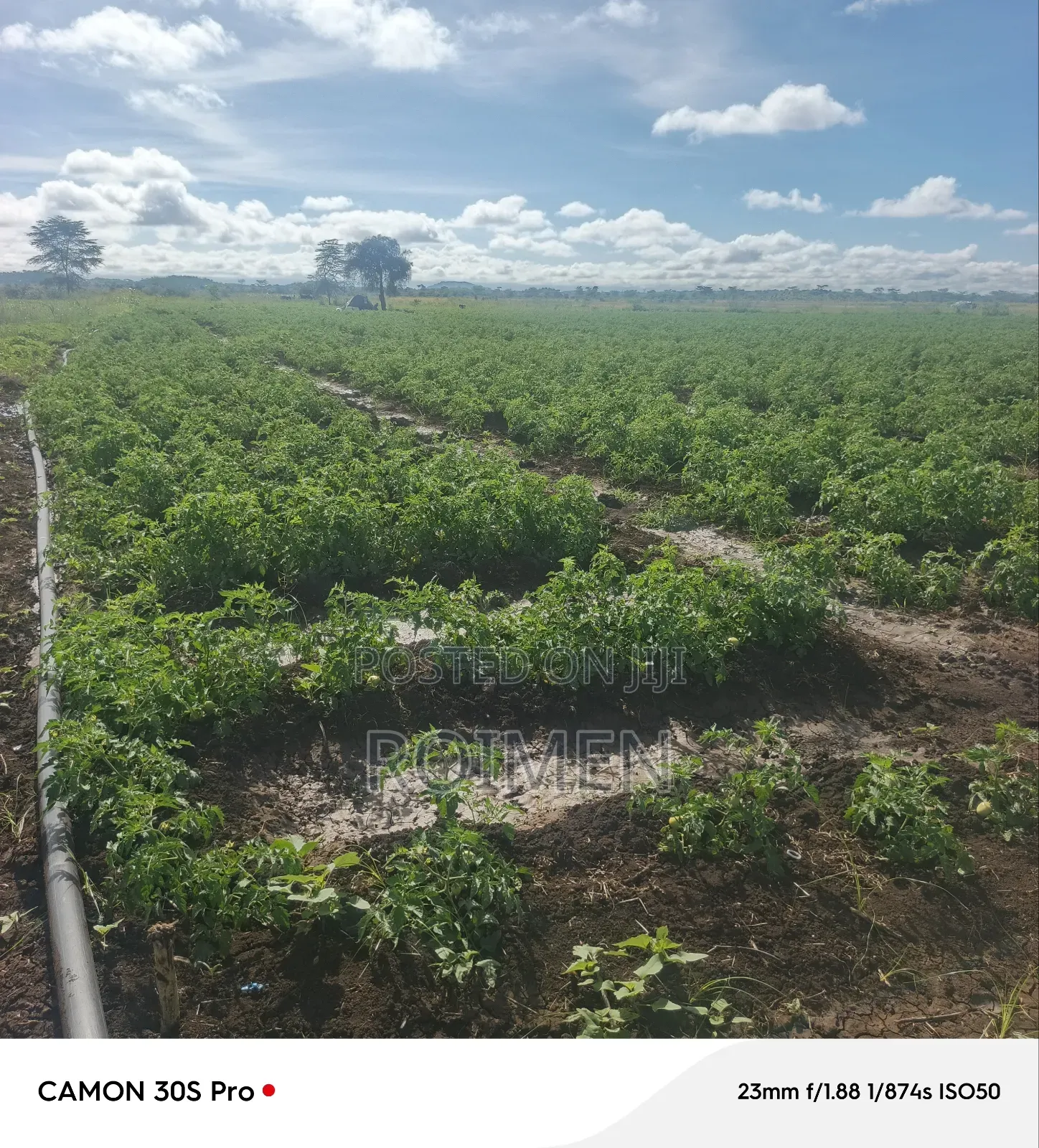 2 Acres Land for Sale in Mbirikani