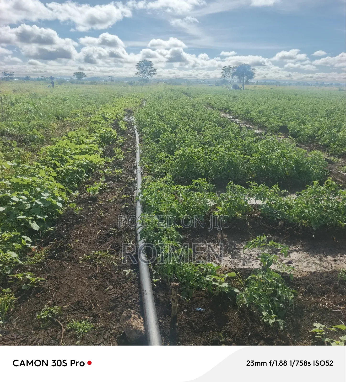 2 Acres Land for Sale in Mbirikani