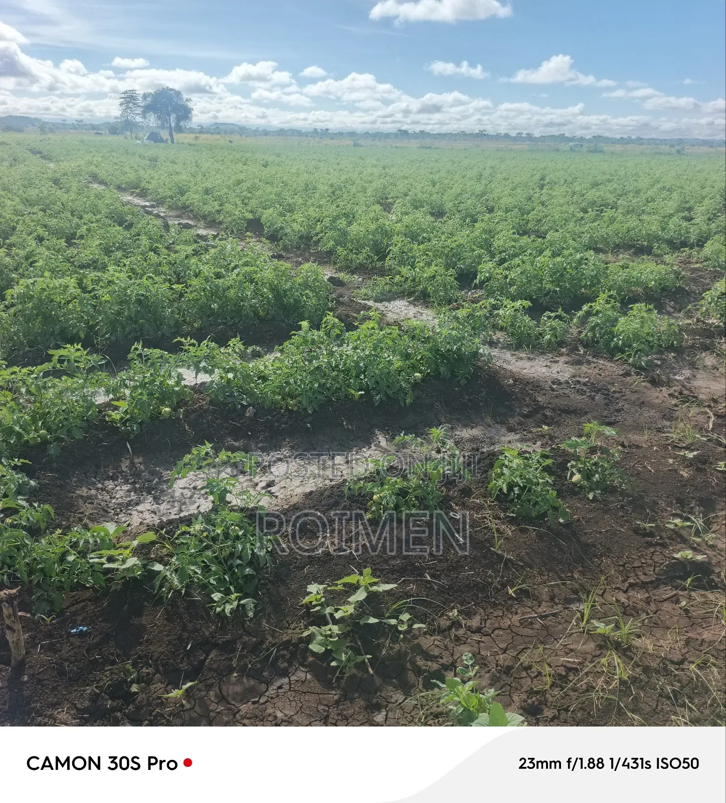 2 Acres Land for Sale in Mbirikani