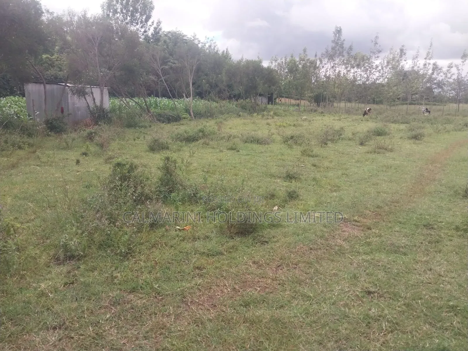 Distress Sale! 1/8 Acre Plot in a Gated Estate Off Thika Superhighway in Kenyatta Road / Theta 