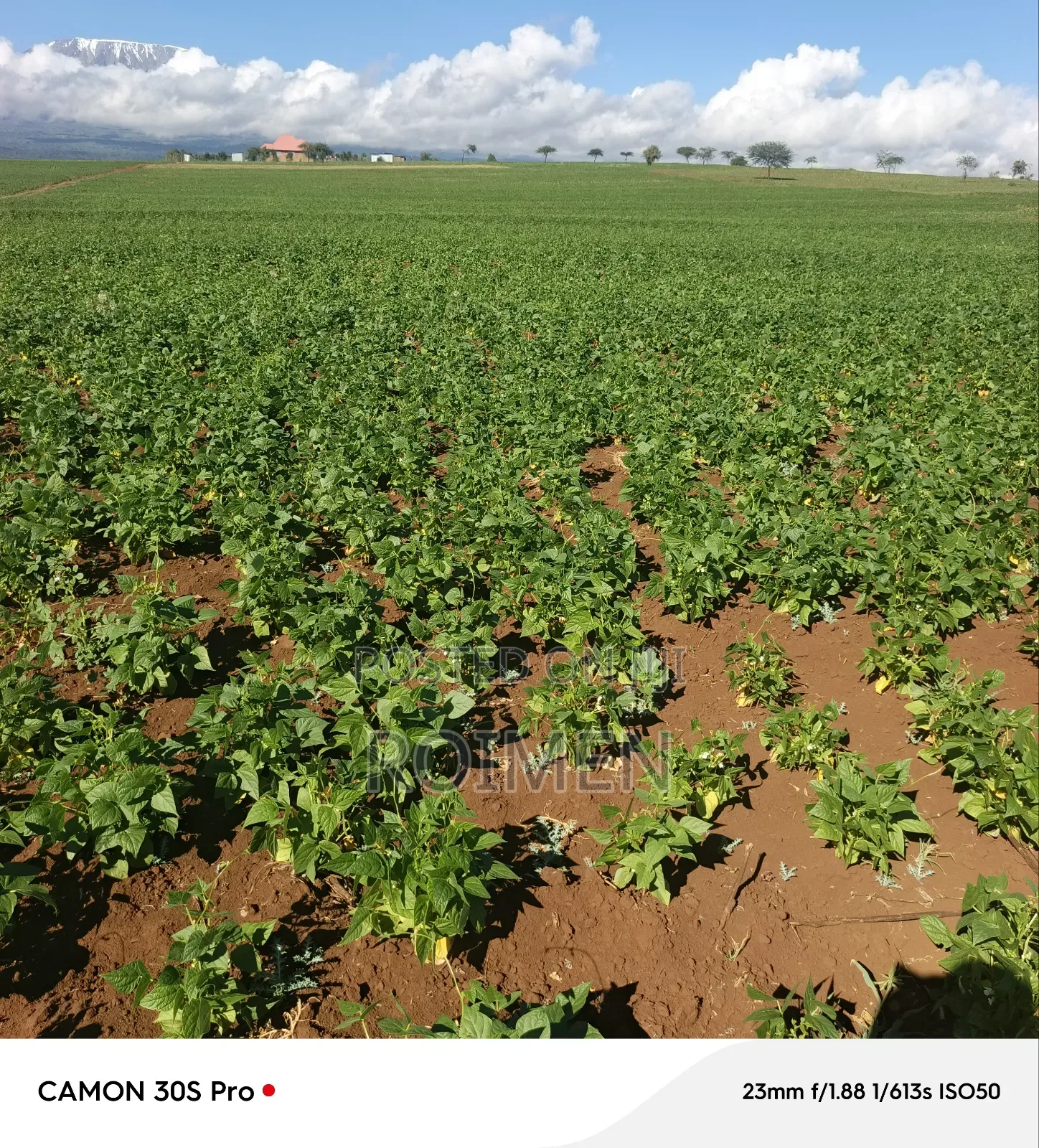 5 Acres Land for Sale in Entonet/Lenkisim