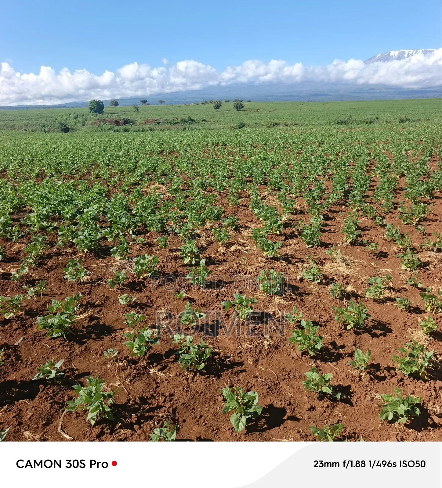 5 Acres Land for Sale in Entonet/Lenkisim