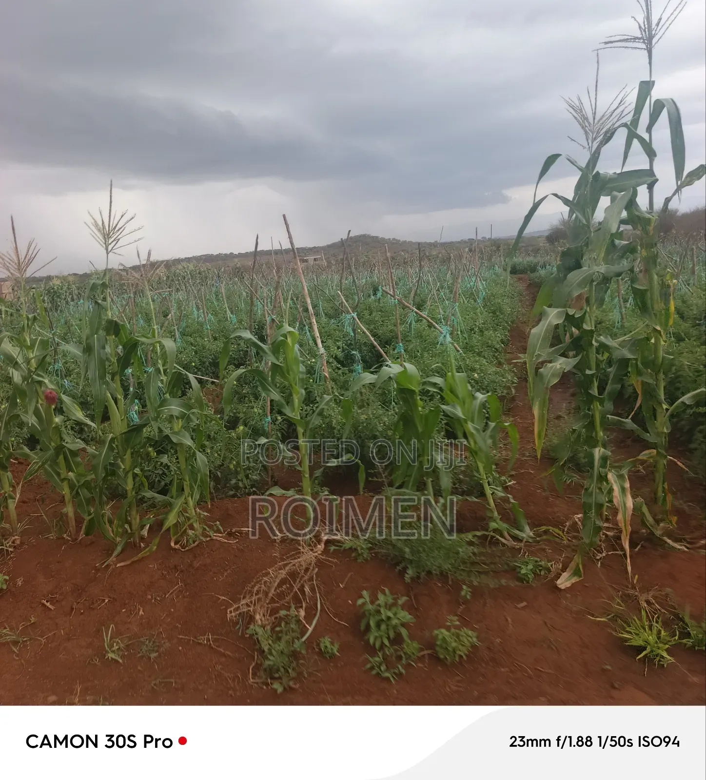 5 Acres Land for Sale in Entonet/Lenkisim
