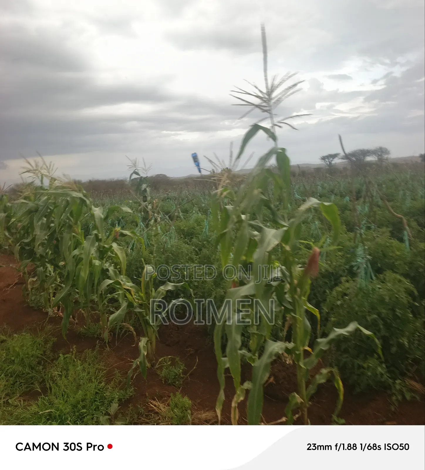 5 Acres Land for Sale in Entonet/Lenkisim