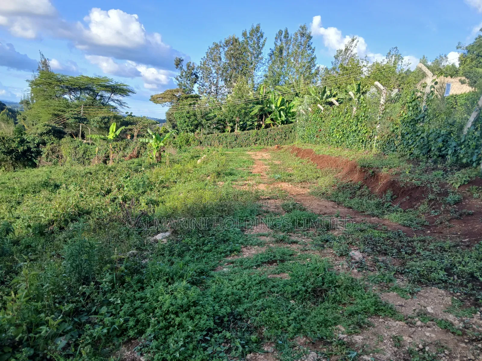 Distress! Very Prime 100 by 100 Plot in a Gated Estate, Matasia,Ngong in Matasia