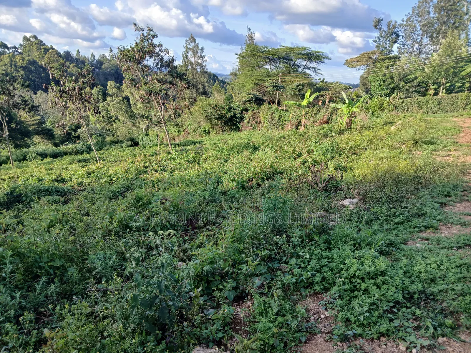 Distress! Very Prime 100 by 100 Plot in a Gated Estate, Matasia,Ngong in Matasia