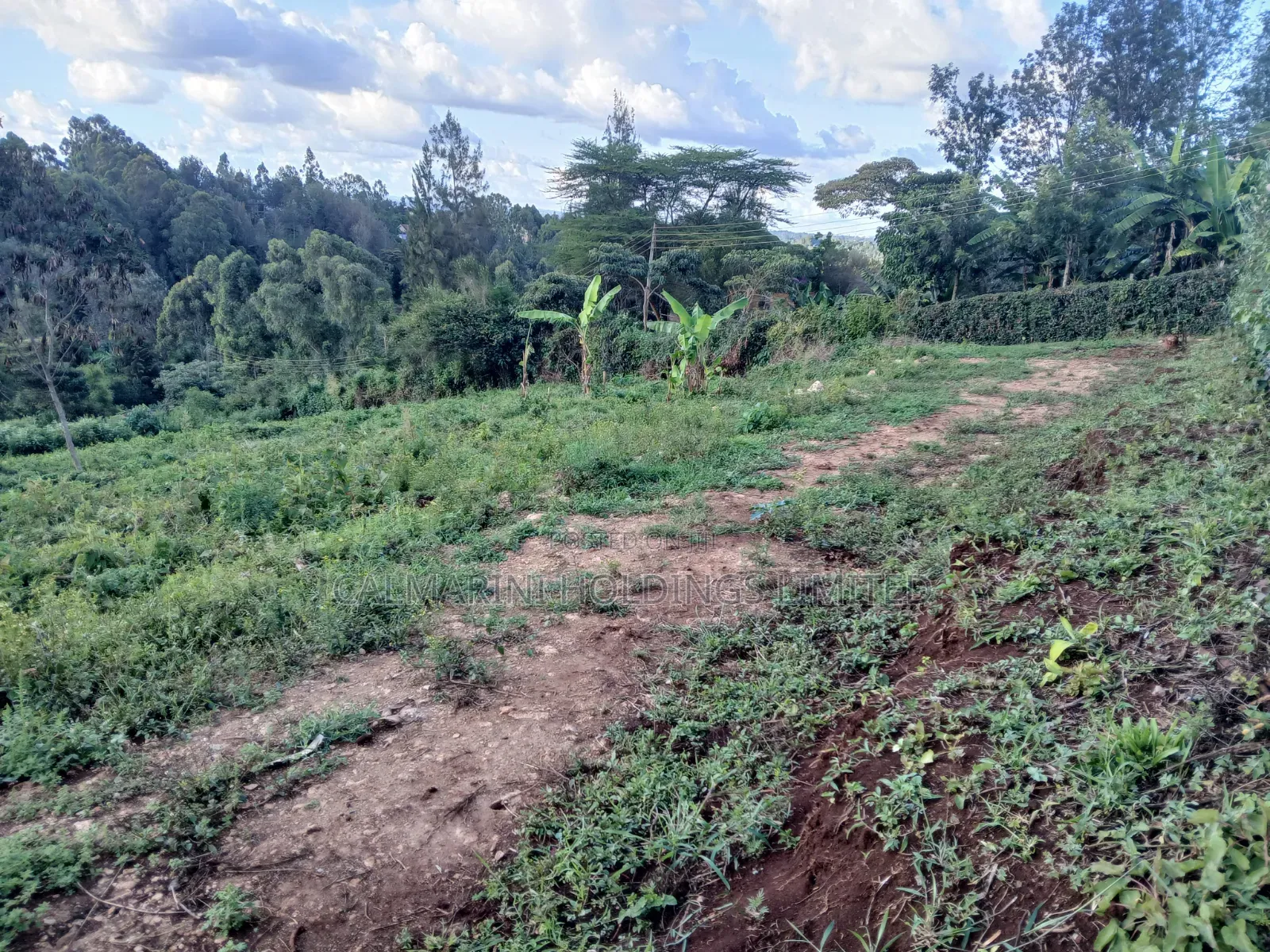 Distress! Very Prime 100 by 100 Plot in a Gated Estate, Matasia,Ngong in Matasia