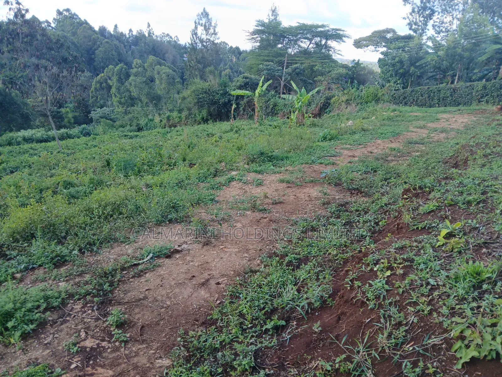 Distress! Very Prime 100 by 100 Plot in a Gated Estate, Matasia,Ngong in Matasia