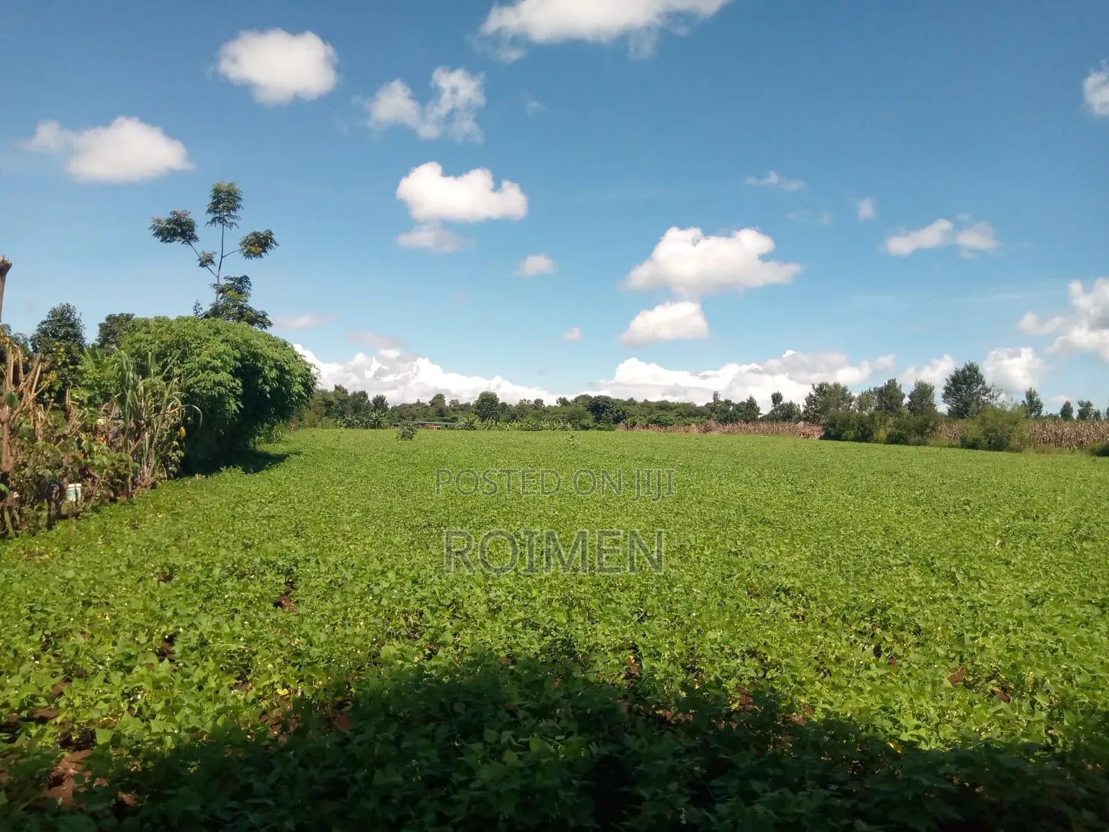 10 Acres Land for Sale in Rombo