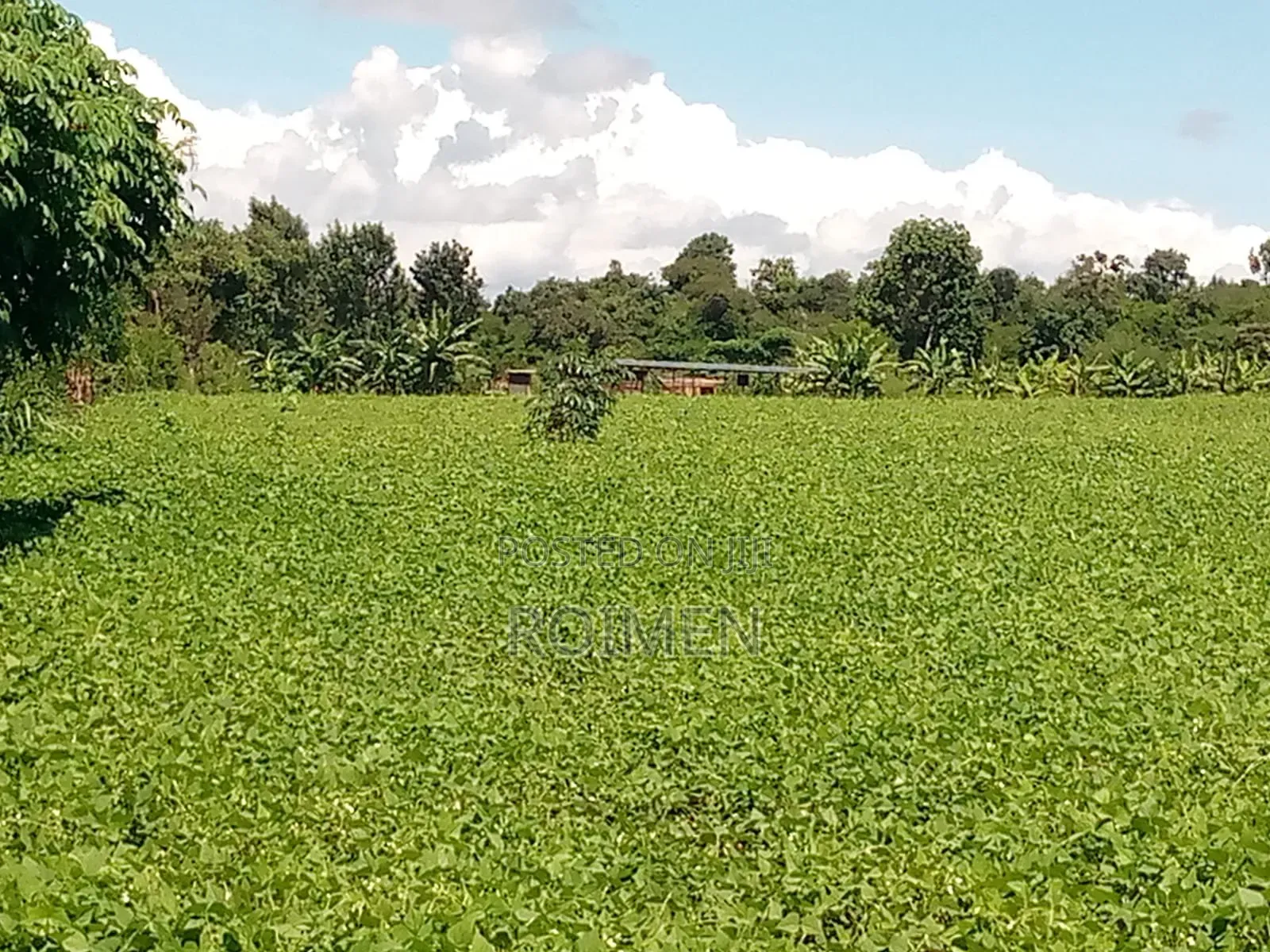 10 Acres Land for Sale in Rombo