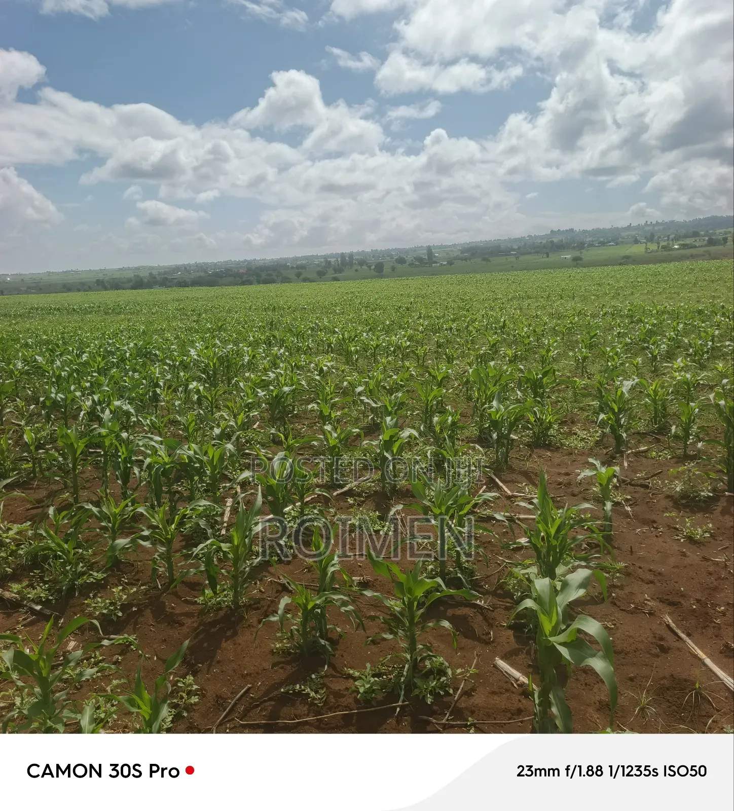 5 Acres Land for Sale in Loitoktok