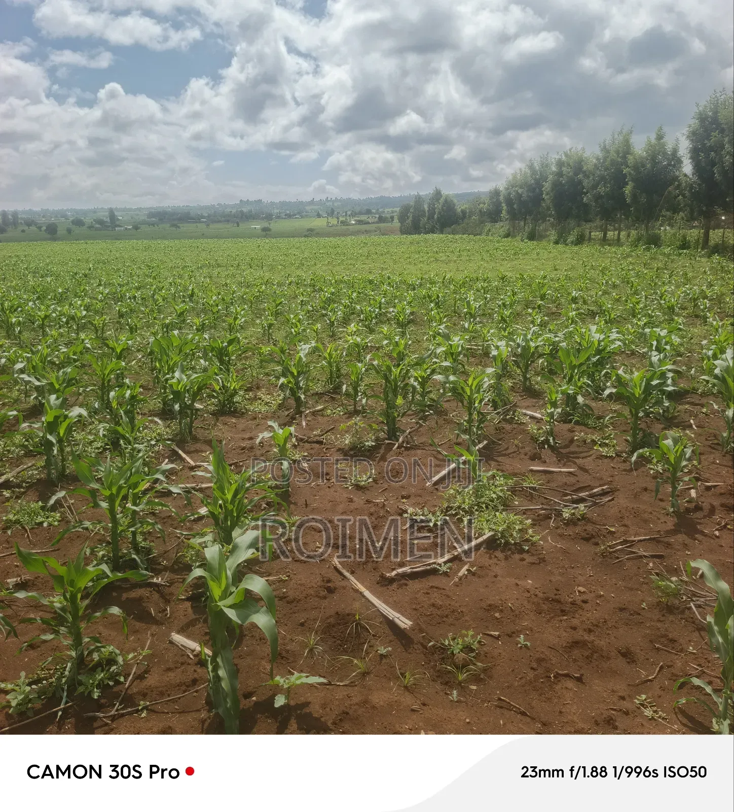 5 Acres Land for Sale in Loitoktok