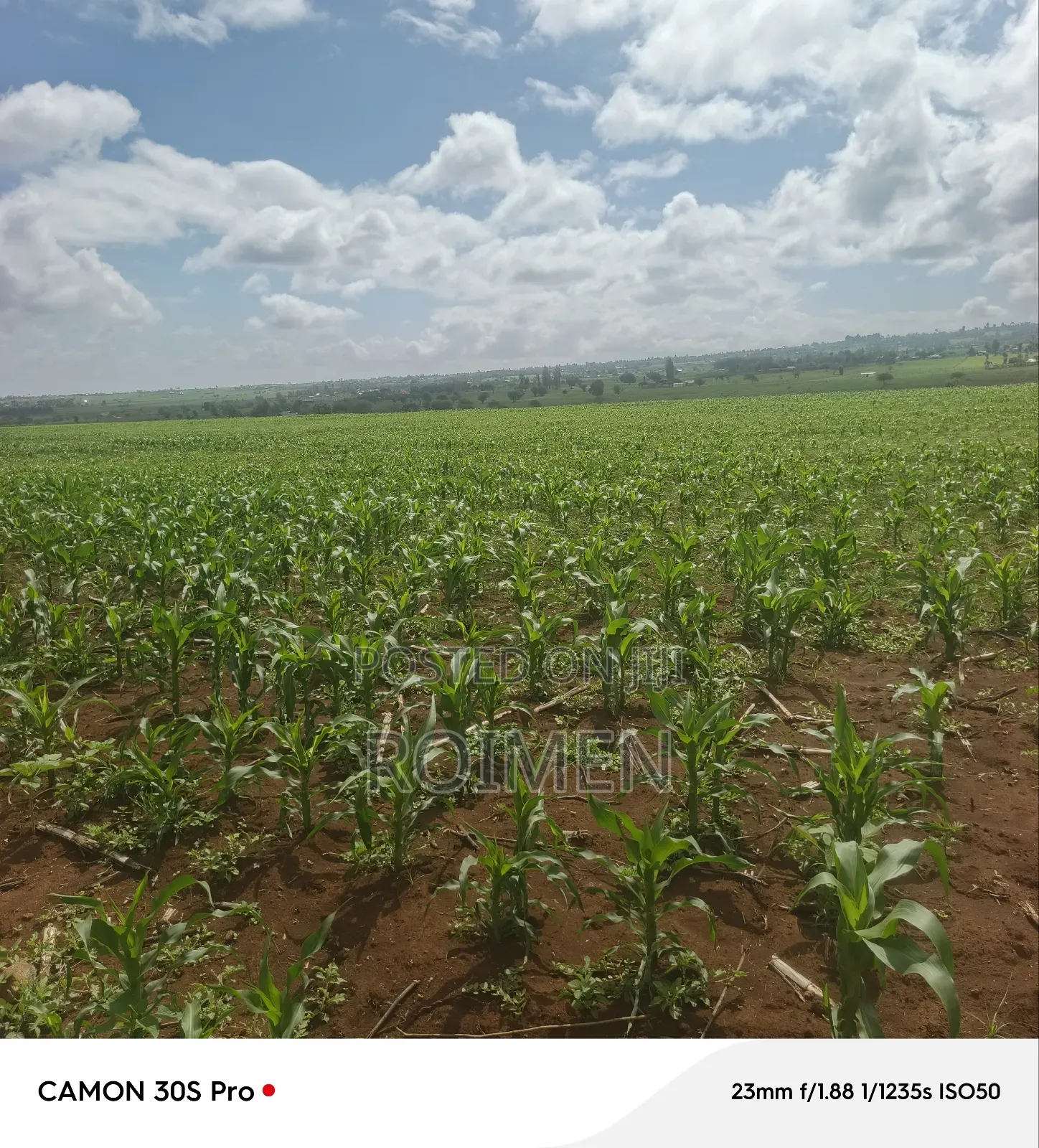 5 Acres Land for Sale in Loitoktok