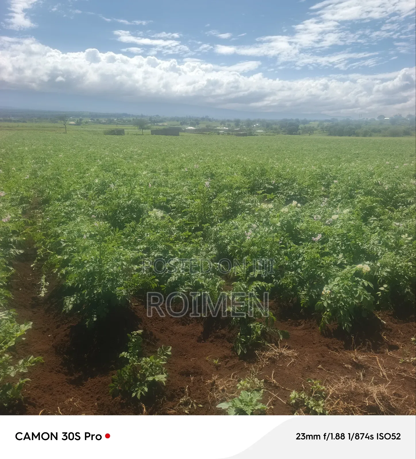 5 Acres Land for Sale in Loitoktok