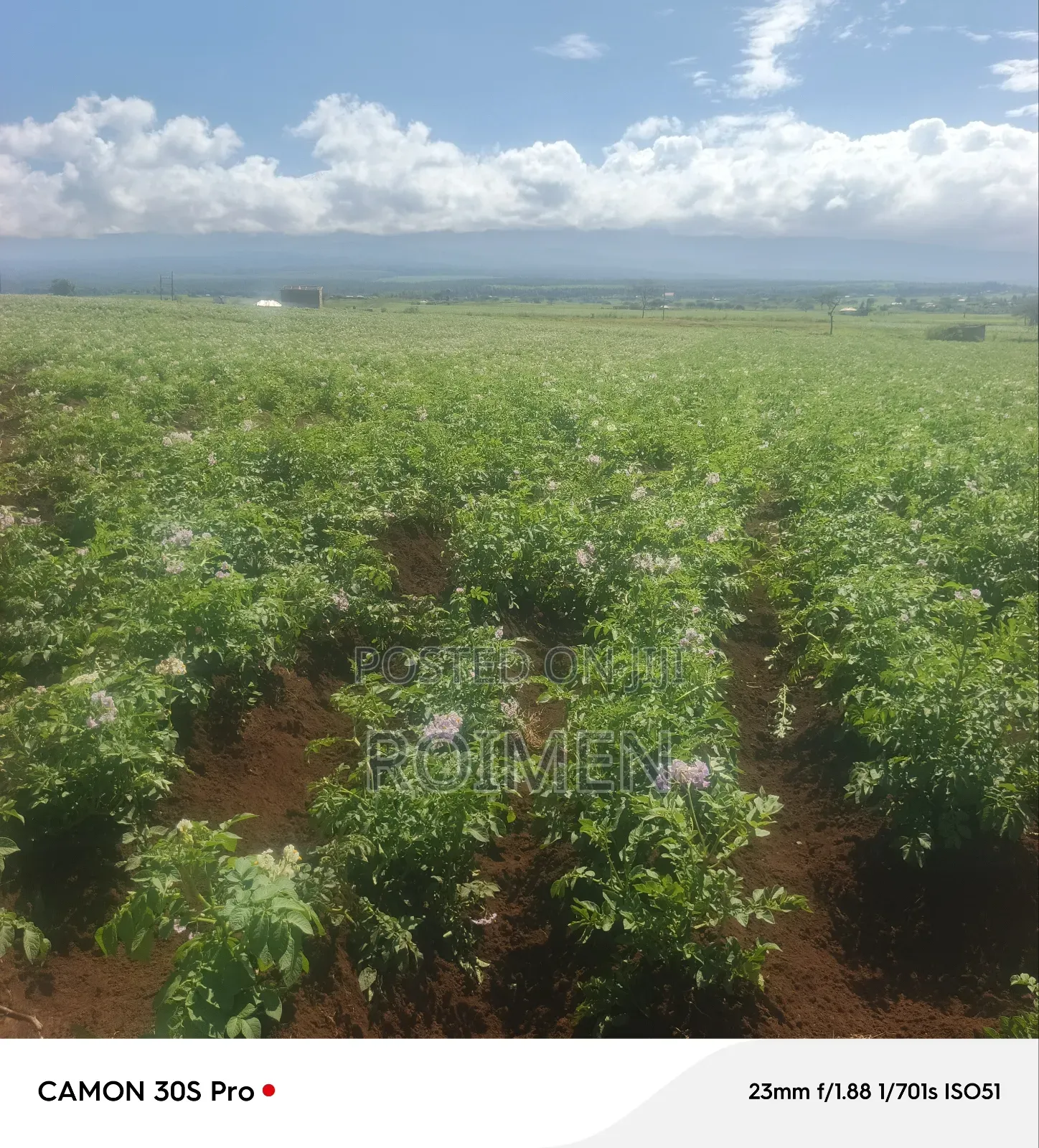5 Acres Land for Sale in Loitoktok