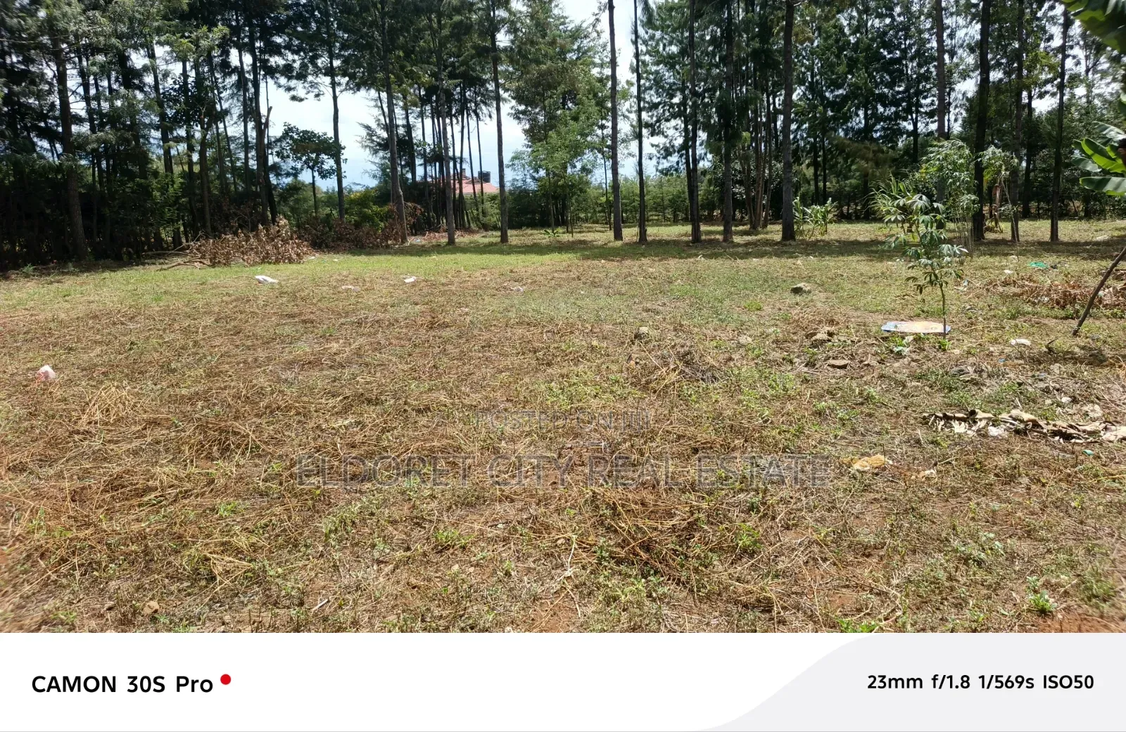 1/2 Acre Elgonview Upper With Title in Kapsuswa