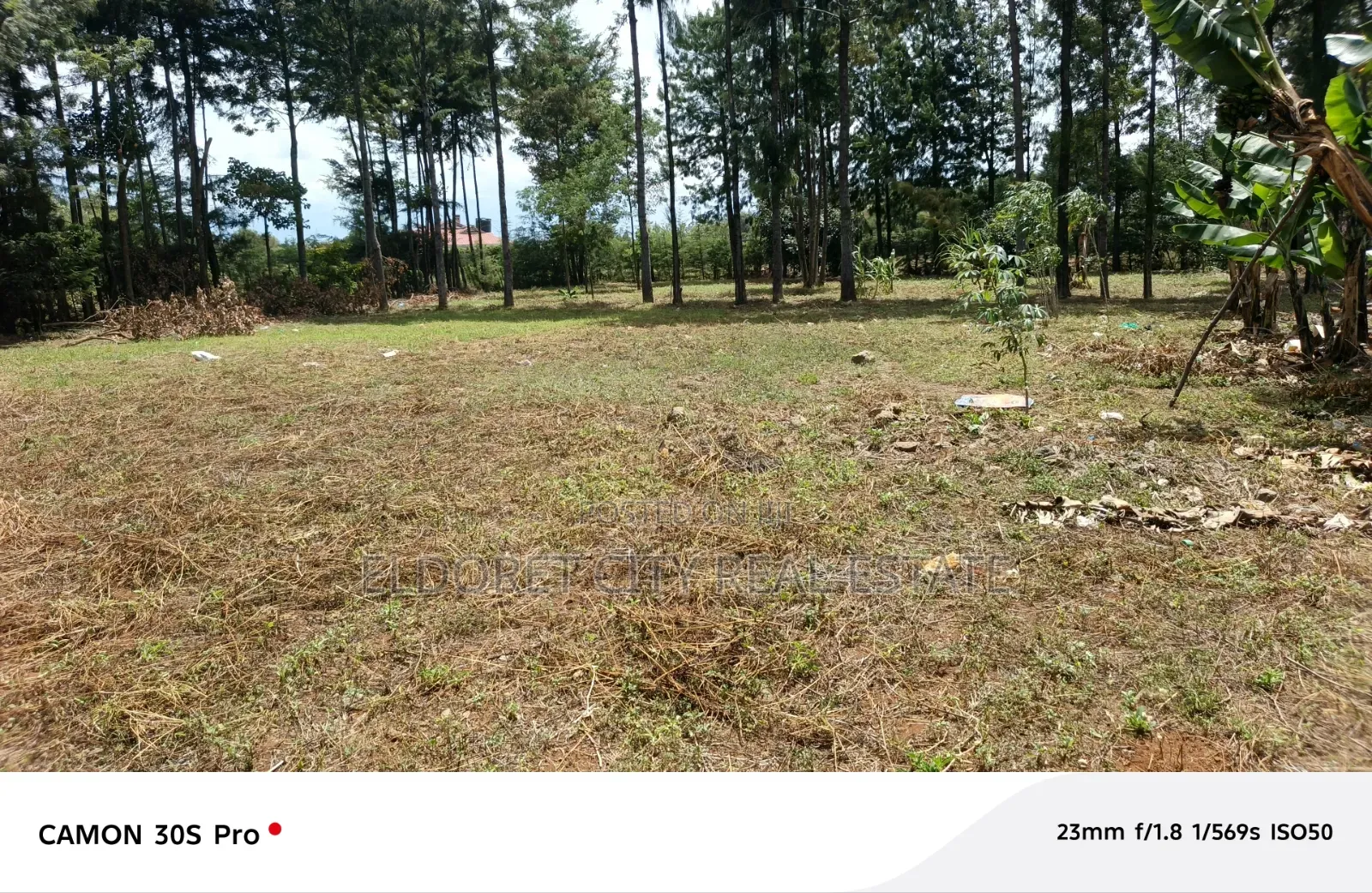 One Acre Elgonview in Kapsuswa