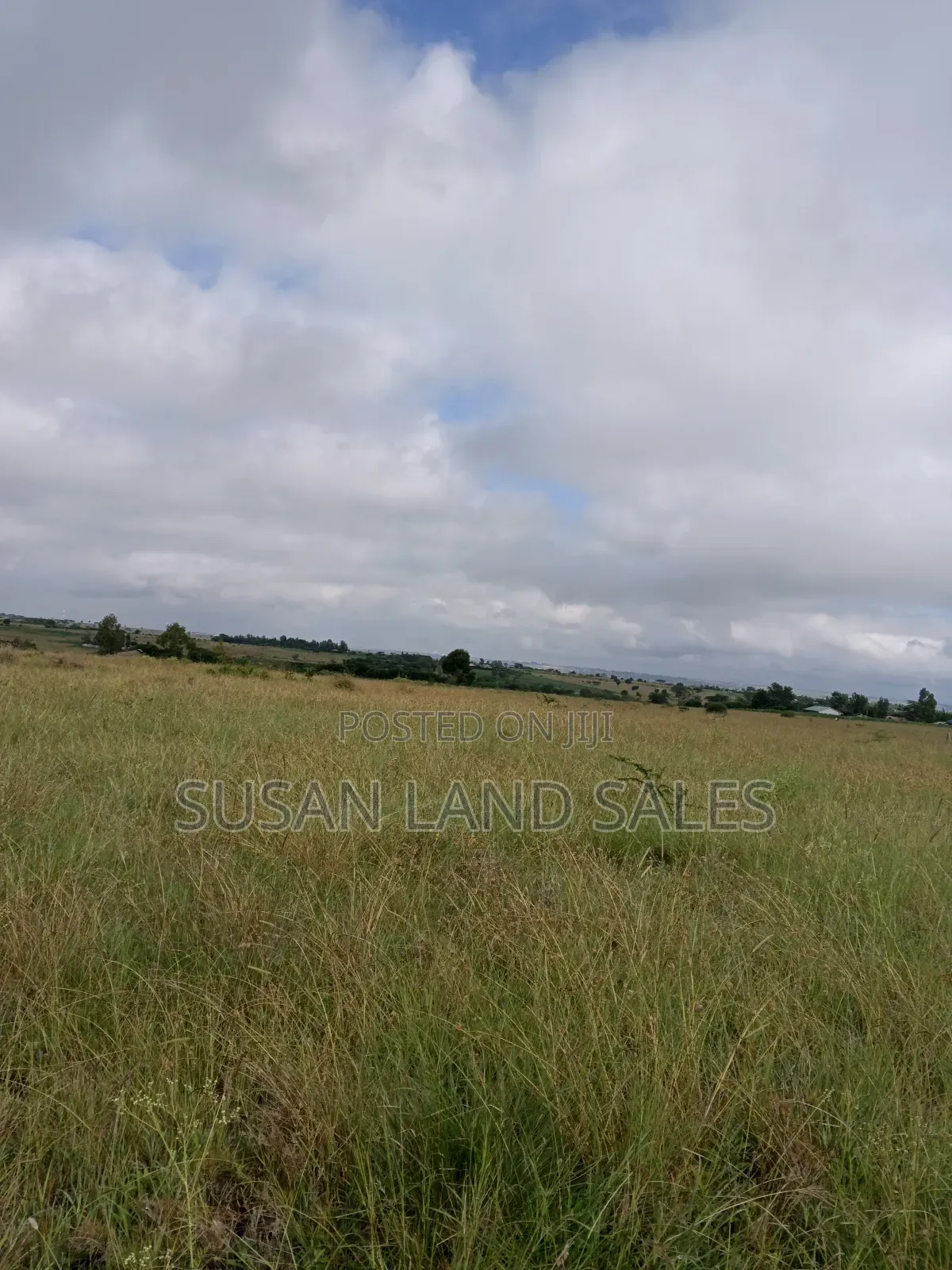 Oletepesi 99 Acres. 5kms Off Tarmac. 1.5m Per Acre in Kiserian