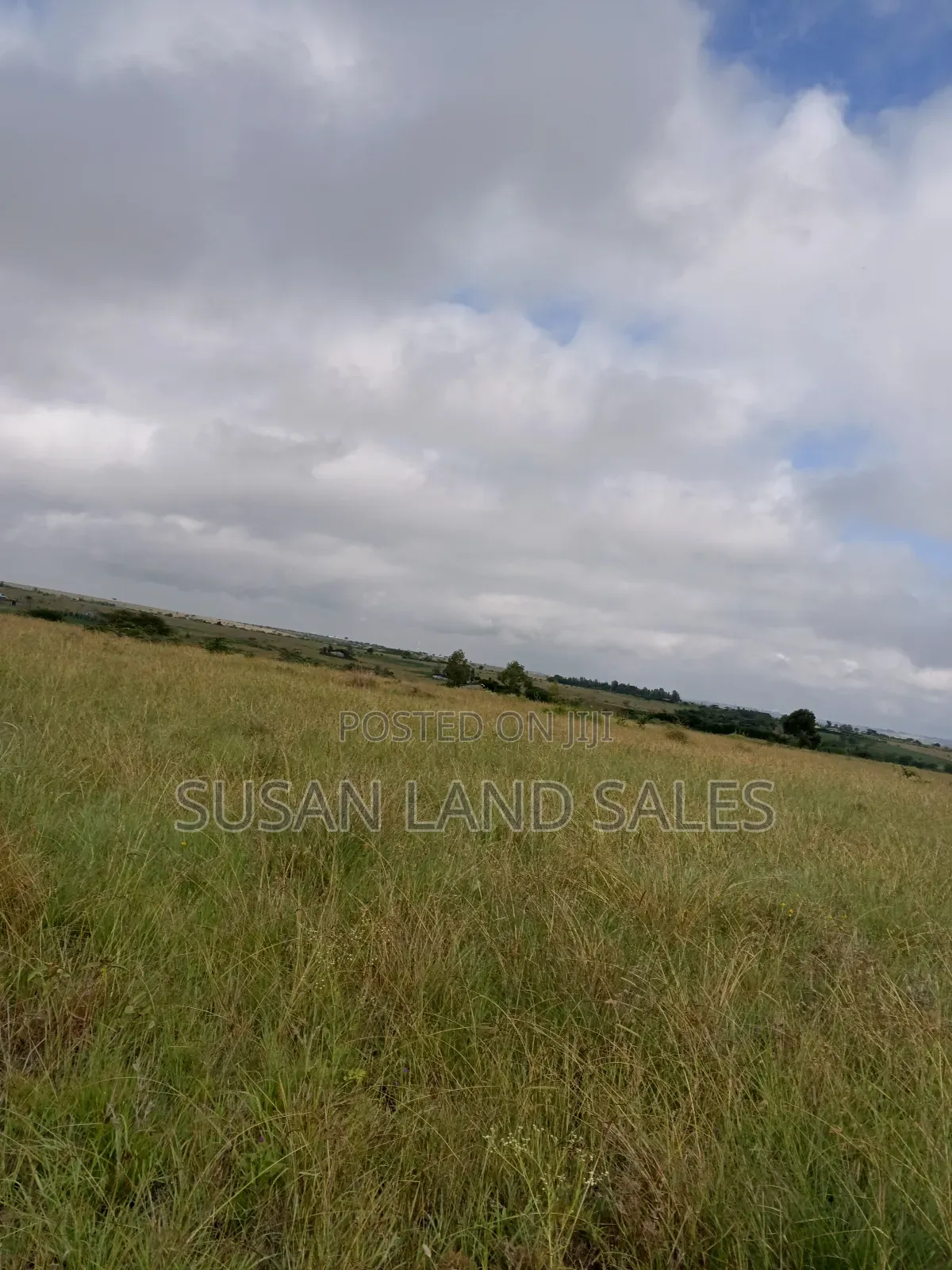 Oletepesi 99 Acres. 5kms Off Tarmac. 1.5m Per Acre in Kiserian