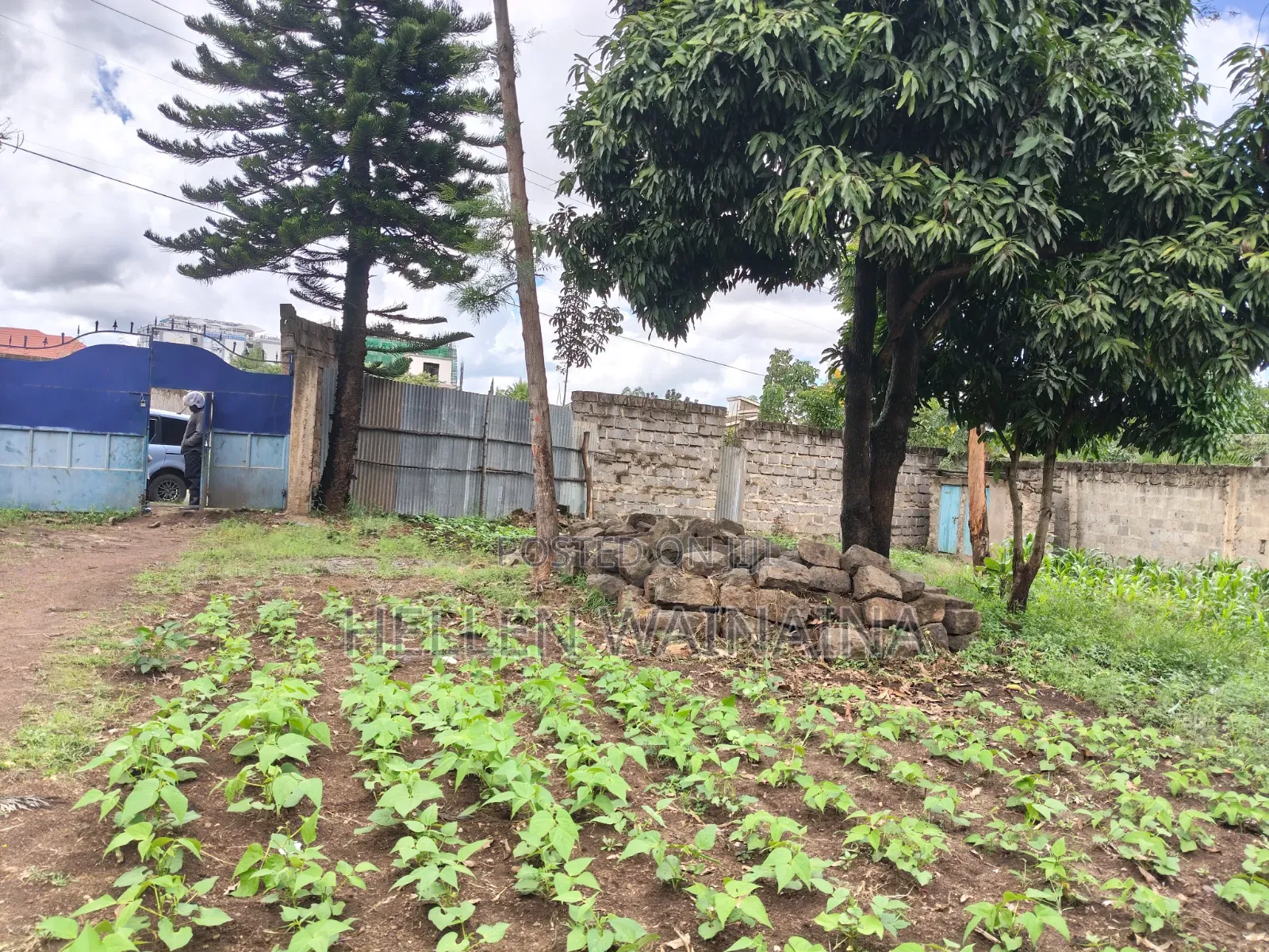 100 by 100 Plot for Sale in Membley Estate