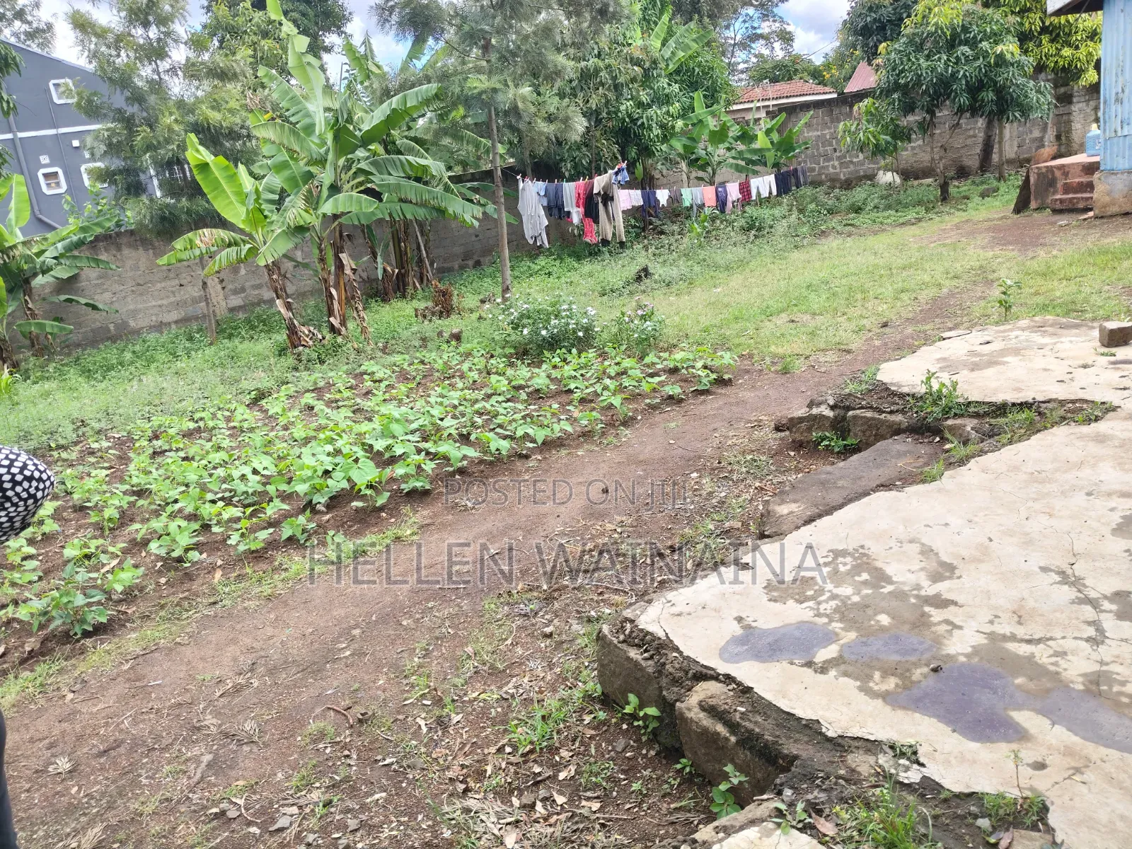 100 by 100 Plot for Sale in Membley Estate
