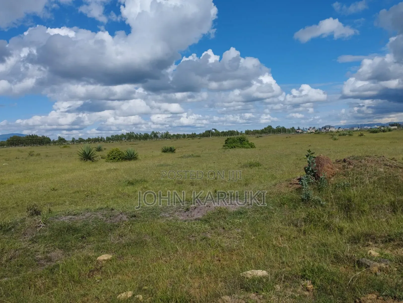 100 Acres Prime Land in Juja-Kiambu in Gate B